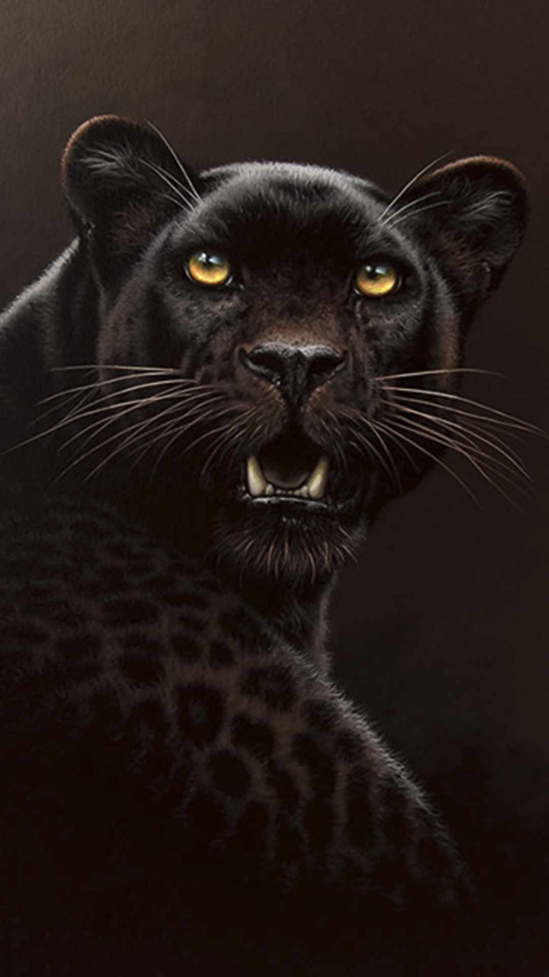1080x1920 black cheetah wallpaper