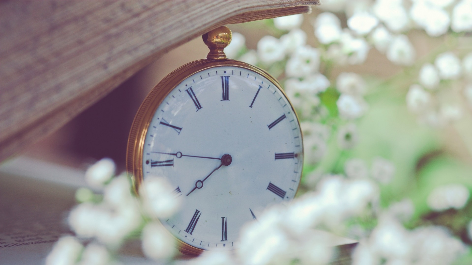 1920x1080  Wallpaper clock, flowers, dial