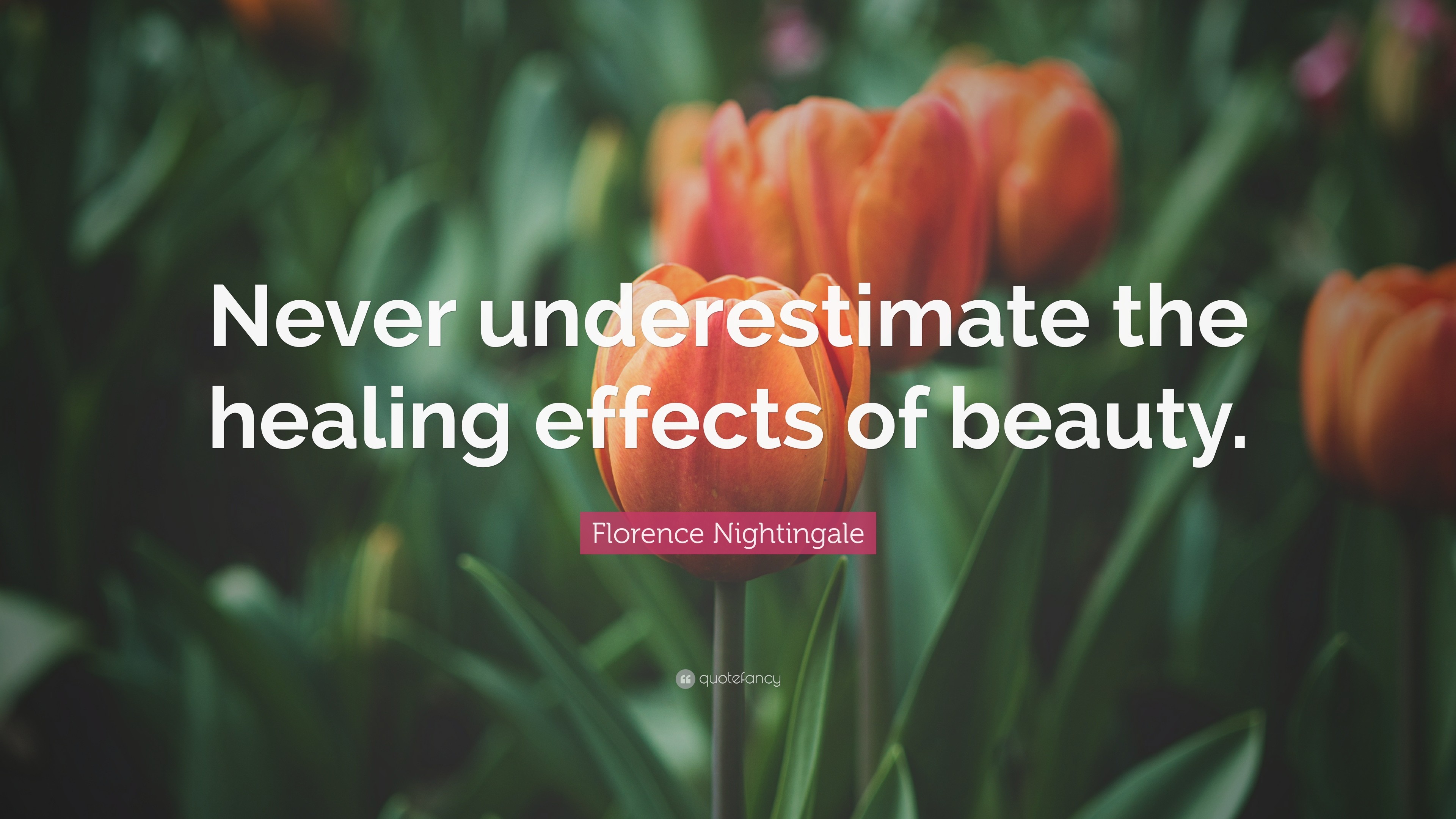 3840x2160 Florence Nightingale Quote: “Never underestimate the healing effects of  beauty.”