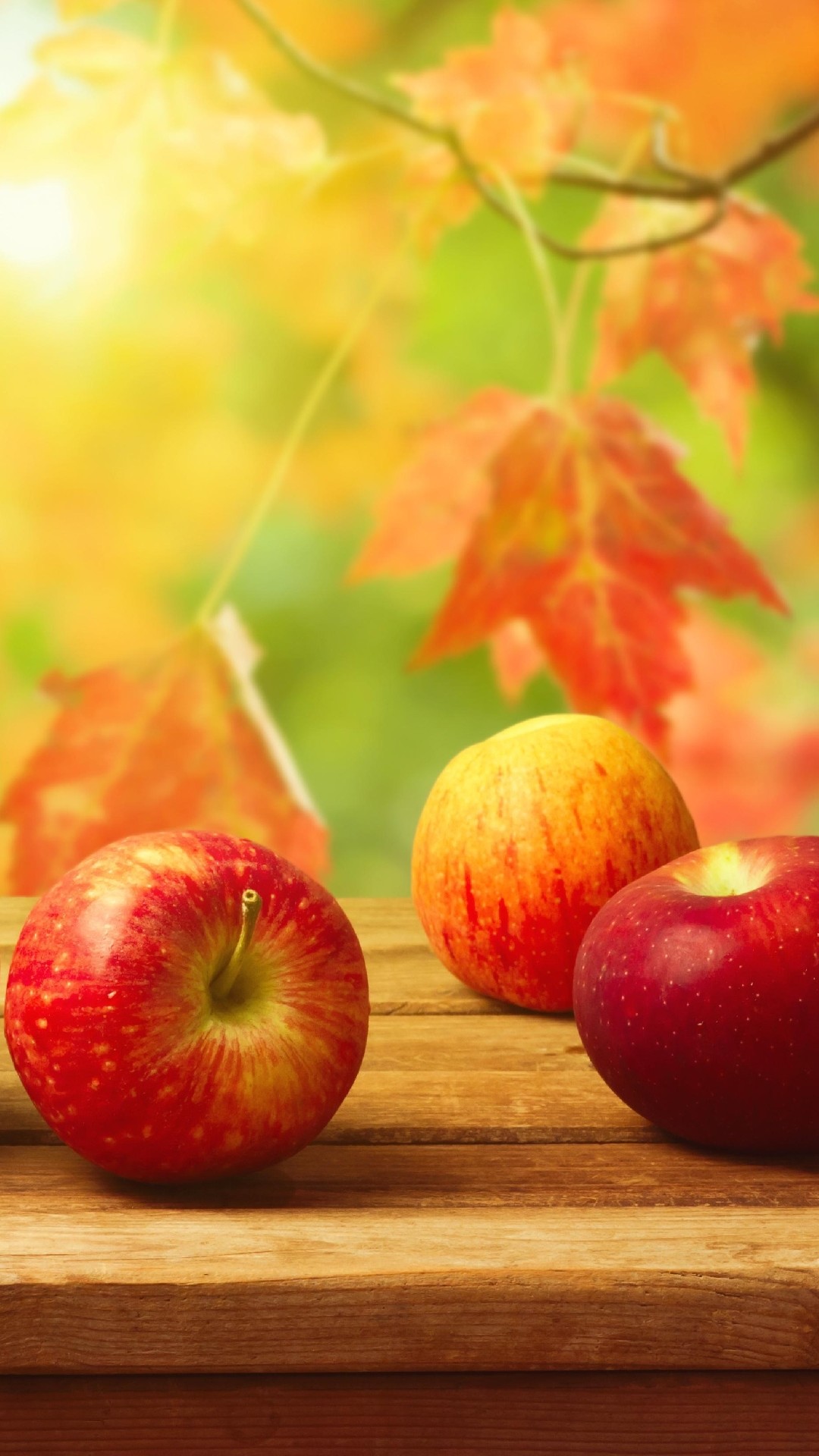1080x1920 Fall apples on a table. More choice: iPhone 6 Plus Wallpapers