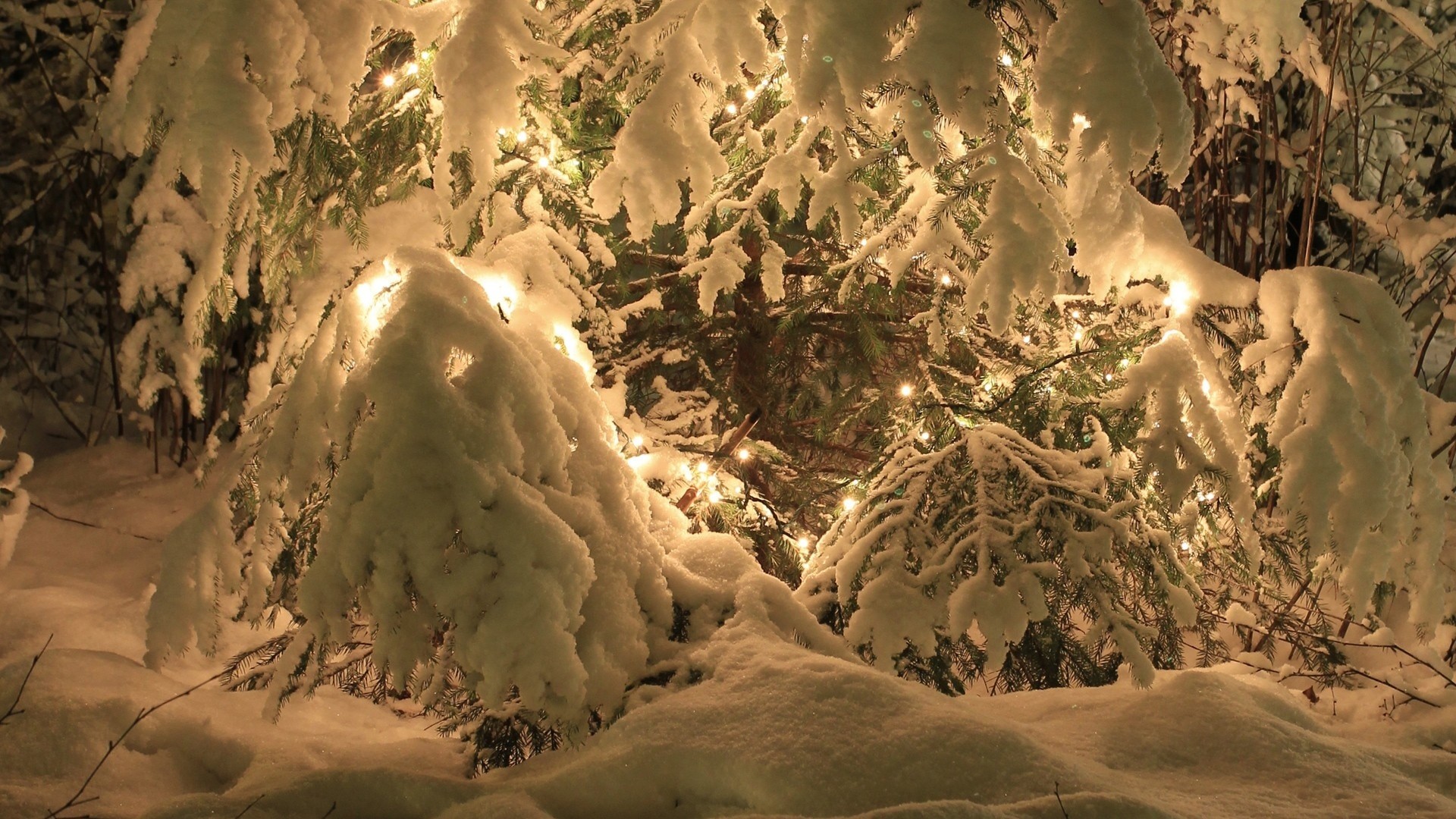1920x1080 Nature trees winter snow seasons lights christmas cold wallpaper |   | 26612 | WallpaperUP