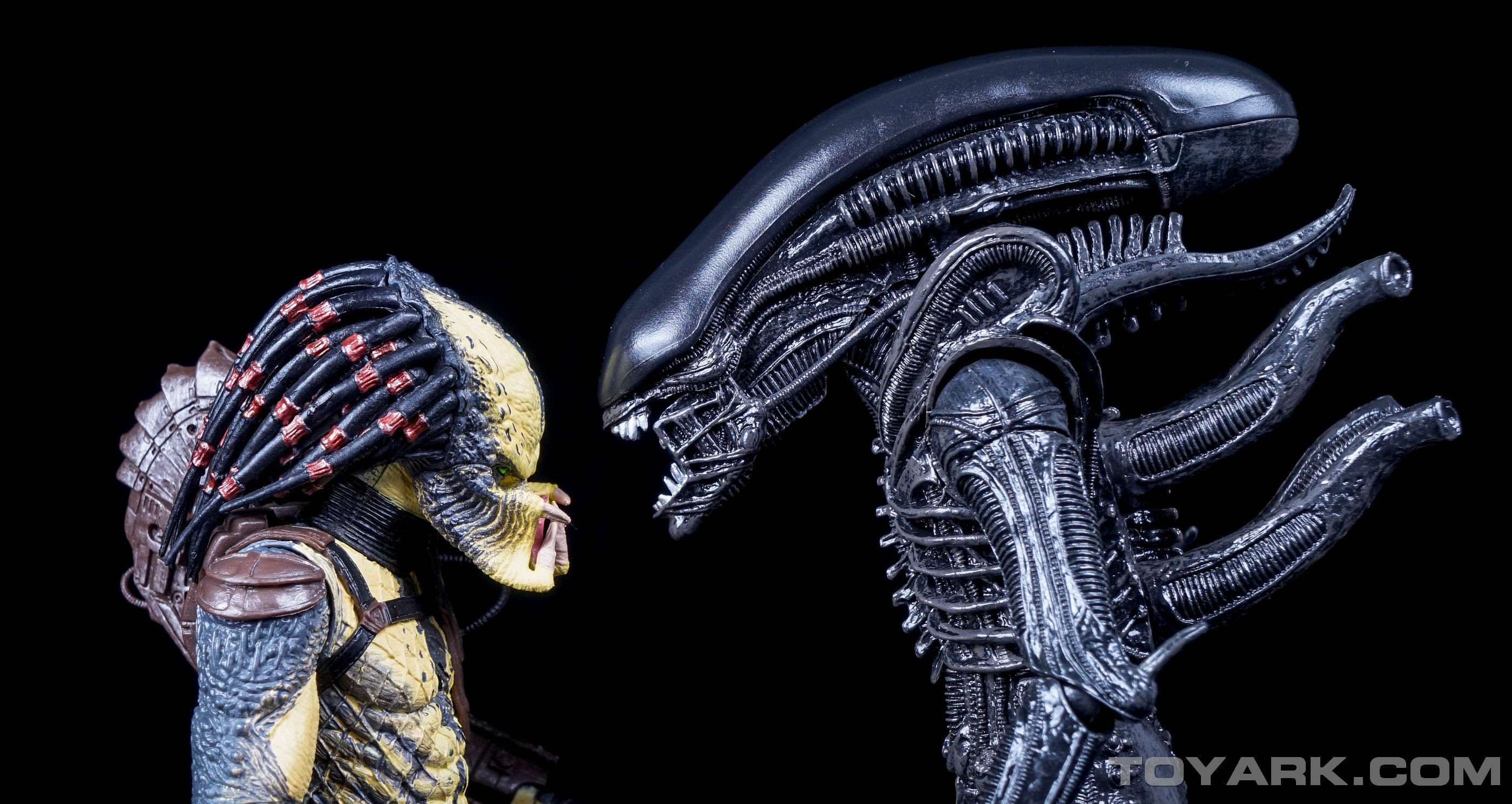 2800x1490 Aliens vs predator wallpapervertical aliens predator wallpaper
