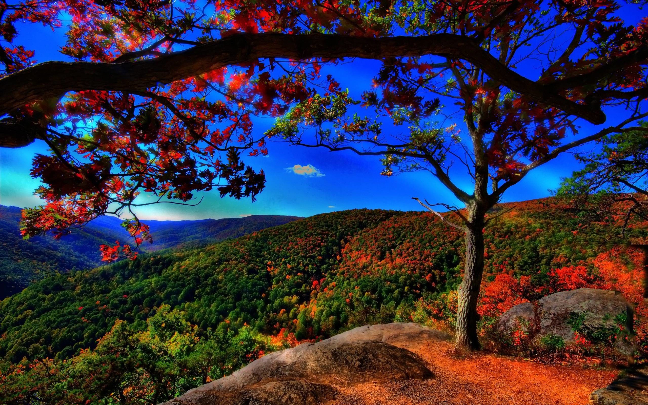 2560x1600 autumn free wallpaper autumn landscape - flipped | Images And ..