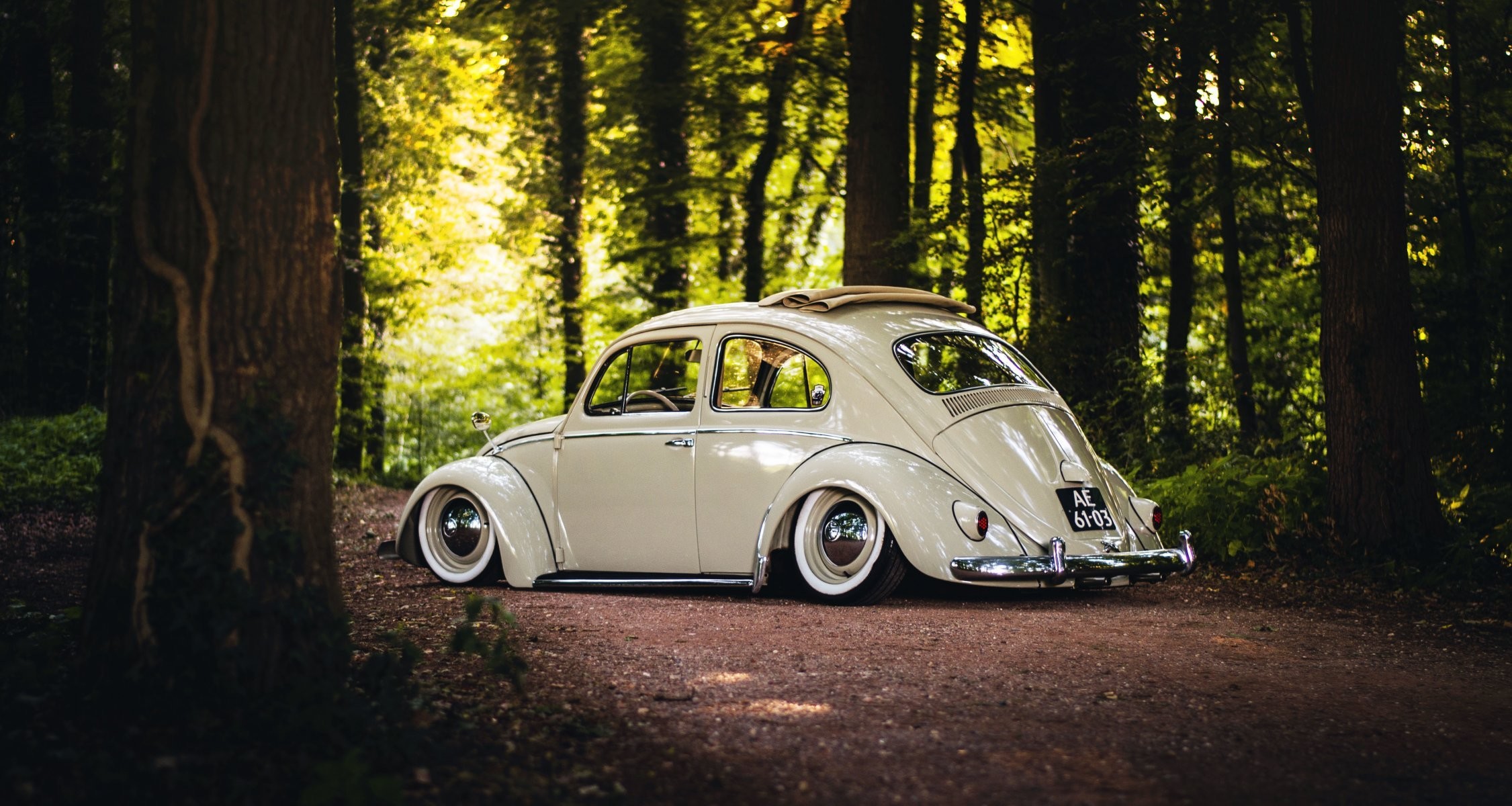 2251x1200 volkswagen beetle sunroof wheels rear trees road forest sunshine