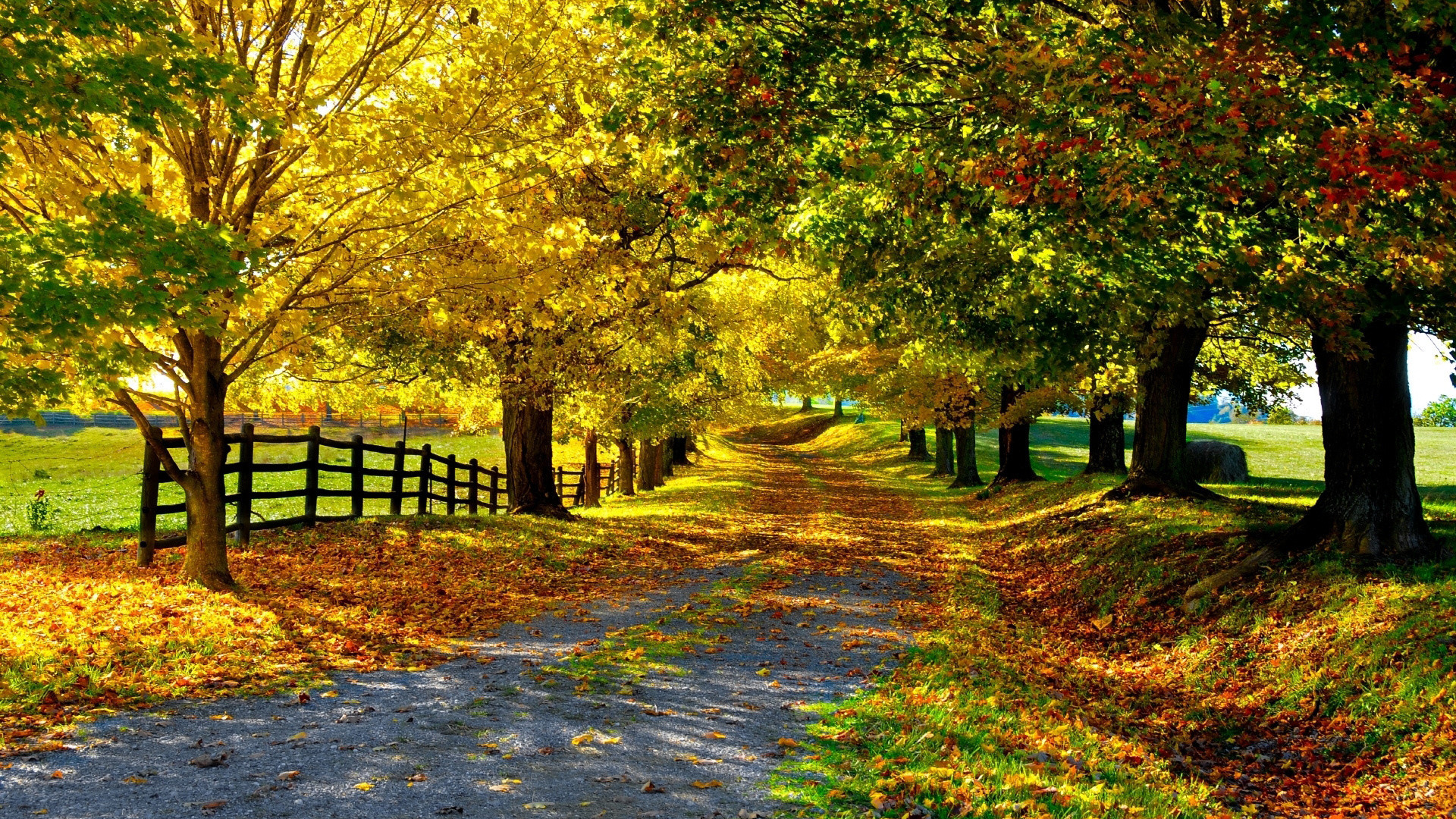 1920x1080 ... Autumn Backgrounds Wallpapers | PNG ...