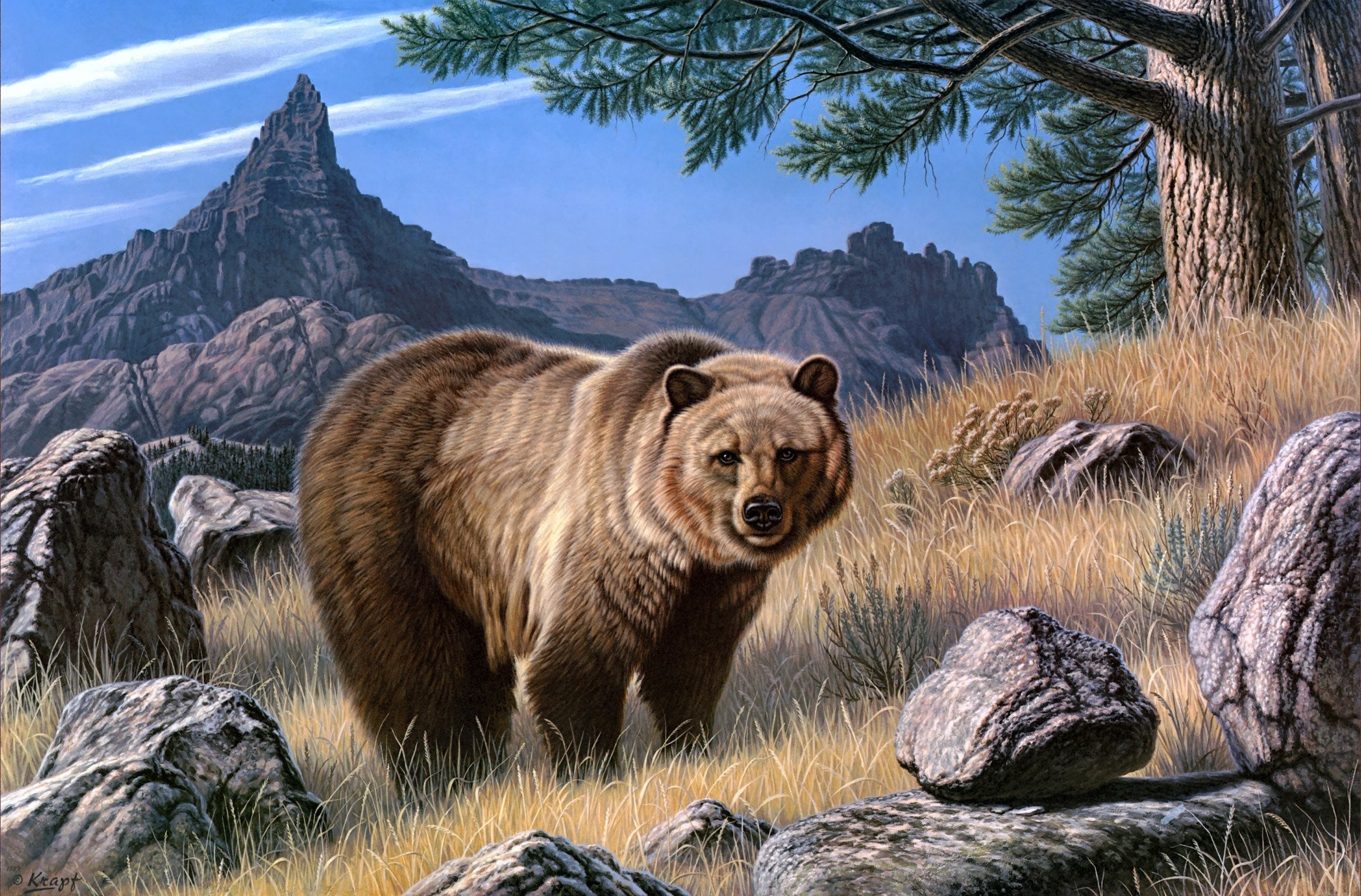 2330x1535 Bears Brown Painting Art Animals bear wallpaper |  | 348750 |  WallpaperUP