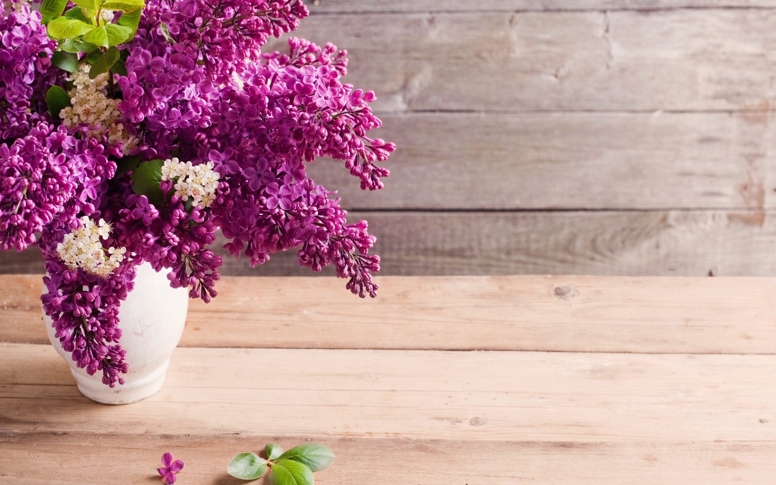 2560x1600 Flowers lilac vases wooden planks wallpaper |  | 258907 |  WallpaperUP