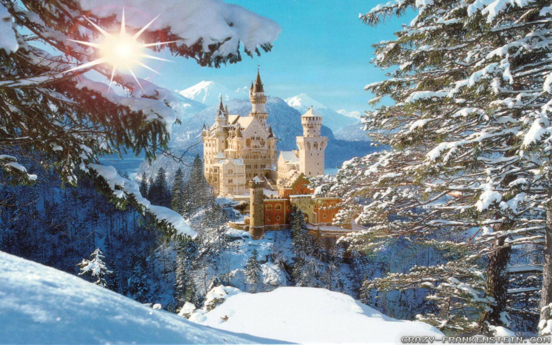 1920x1200 Wallpaper: Neuschwanstein castle winter wallpapers. Resolution: 1024x768 |  1280x1024 | 1600x1200. Widescreen Res: 1440x900 | 1680x1050 | 