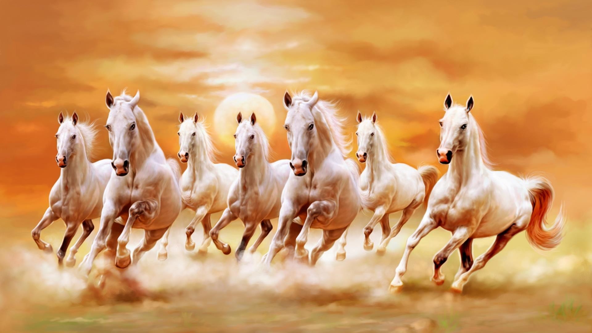 1920x1080 white horse - Download Hd white horse wallpaper for desktop and mobile  device. Best wide white horsefree background images.