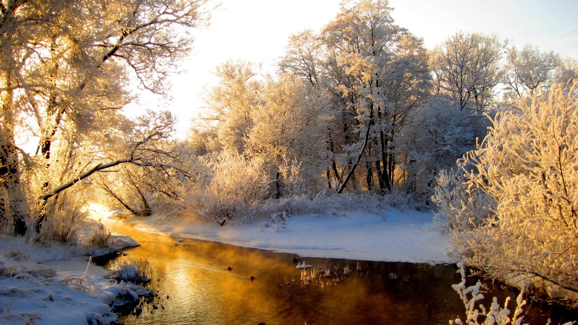 1920x1080 Winter Nature Wallpapers Photo