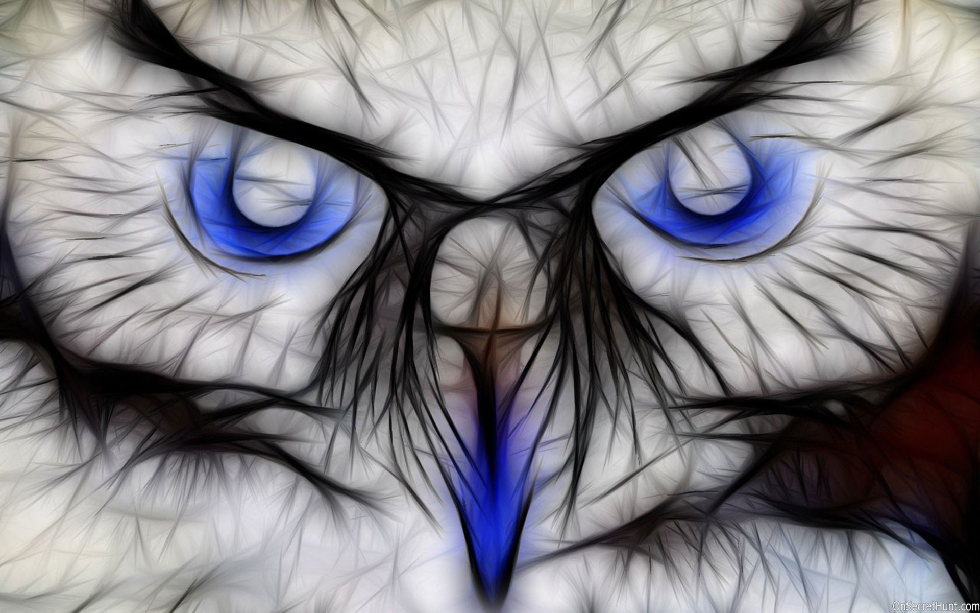 1920x1200 0 1920x1080 Barn Owl Wallpapers Desktop Animals Wallpaper  Best 3D  Animal Wallpaper HD Animated Animal Wallpaper