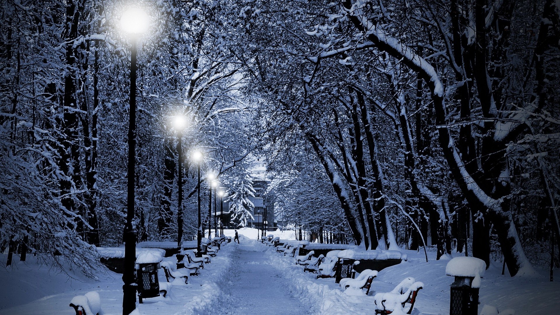 1920x1080 park_winter_twilight_lamps_light_snow_benches_person_path_61283_.jpg