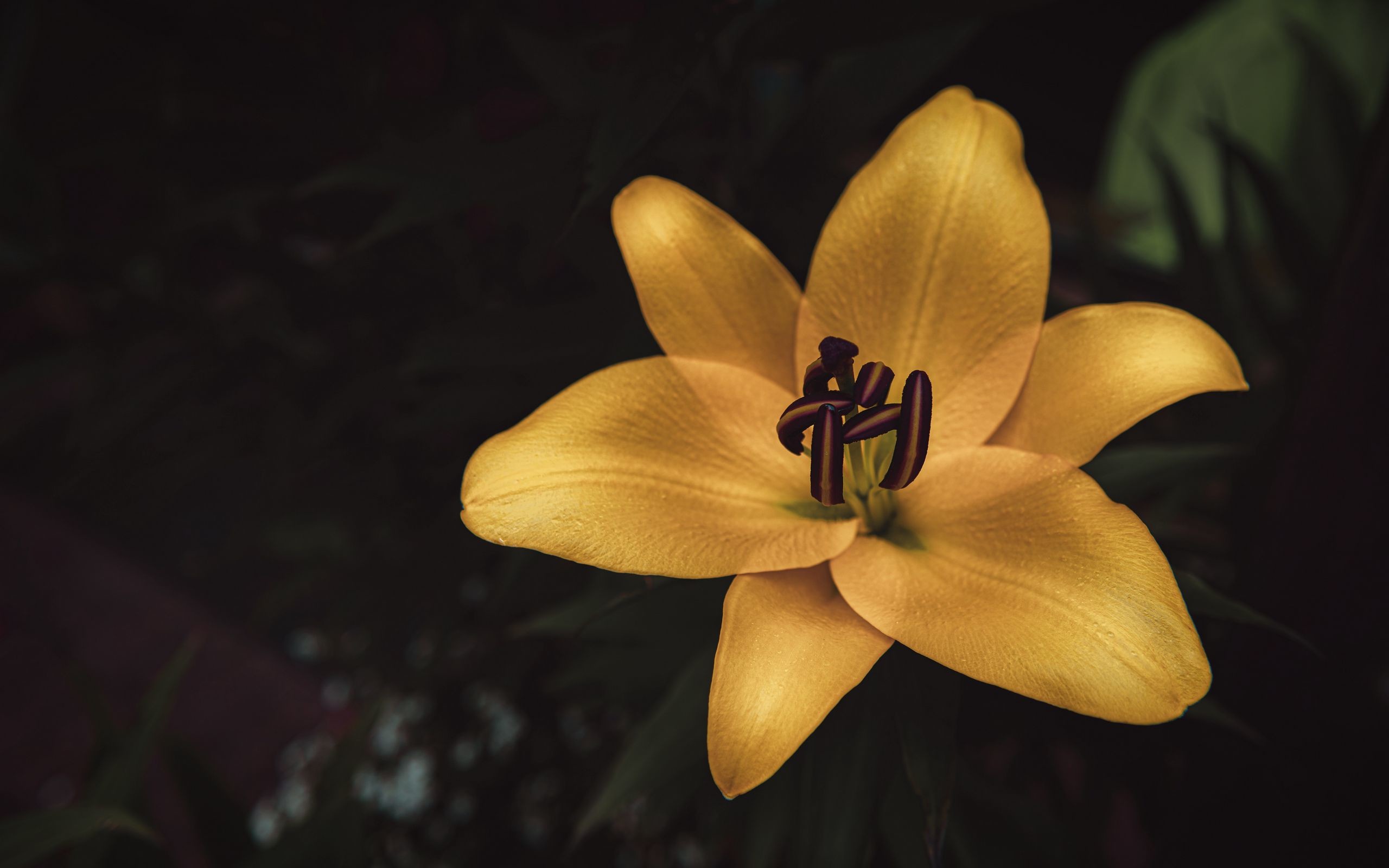 Wallpapers from ihand