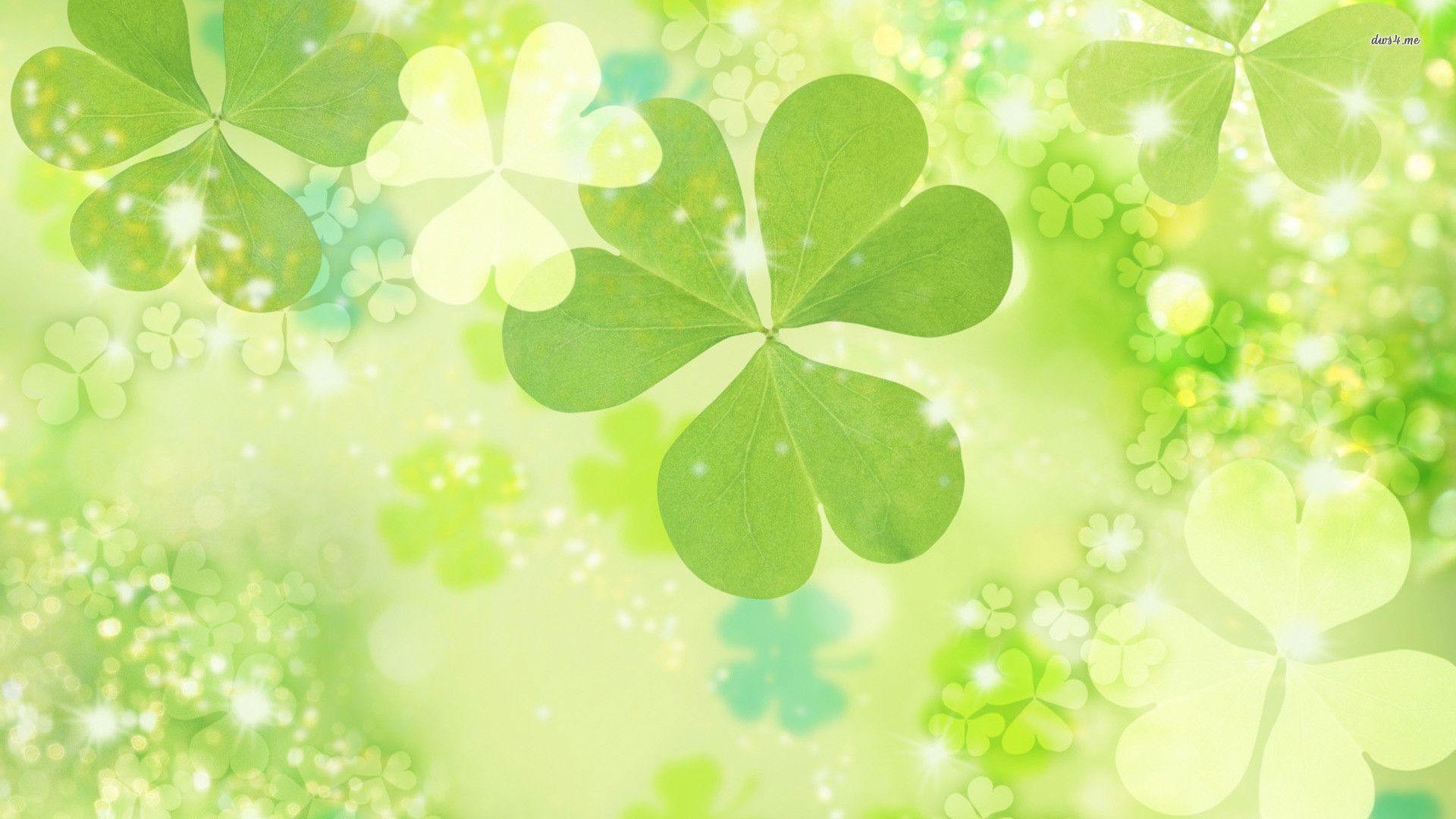 1920x1080 Pix For > Four Leaf Clover Backgrounds