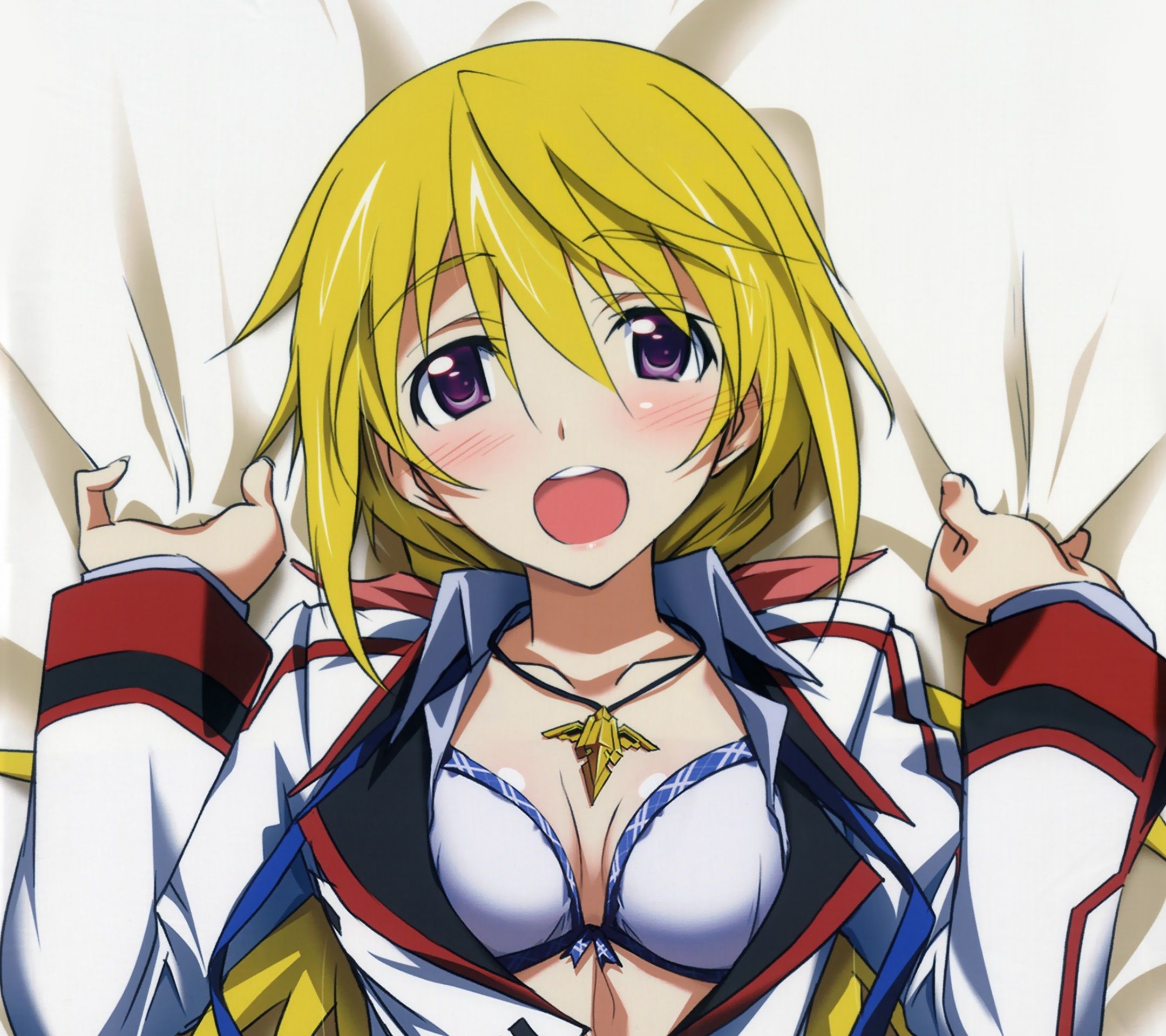 2160x1920 Infinite Stratos.Charlotte Dunois Android wallpaper. (3)