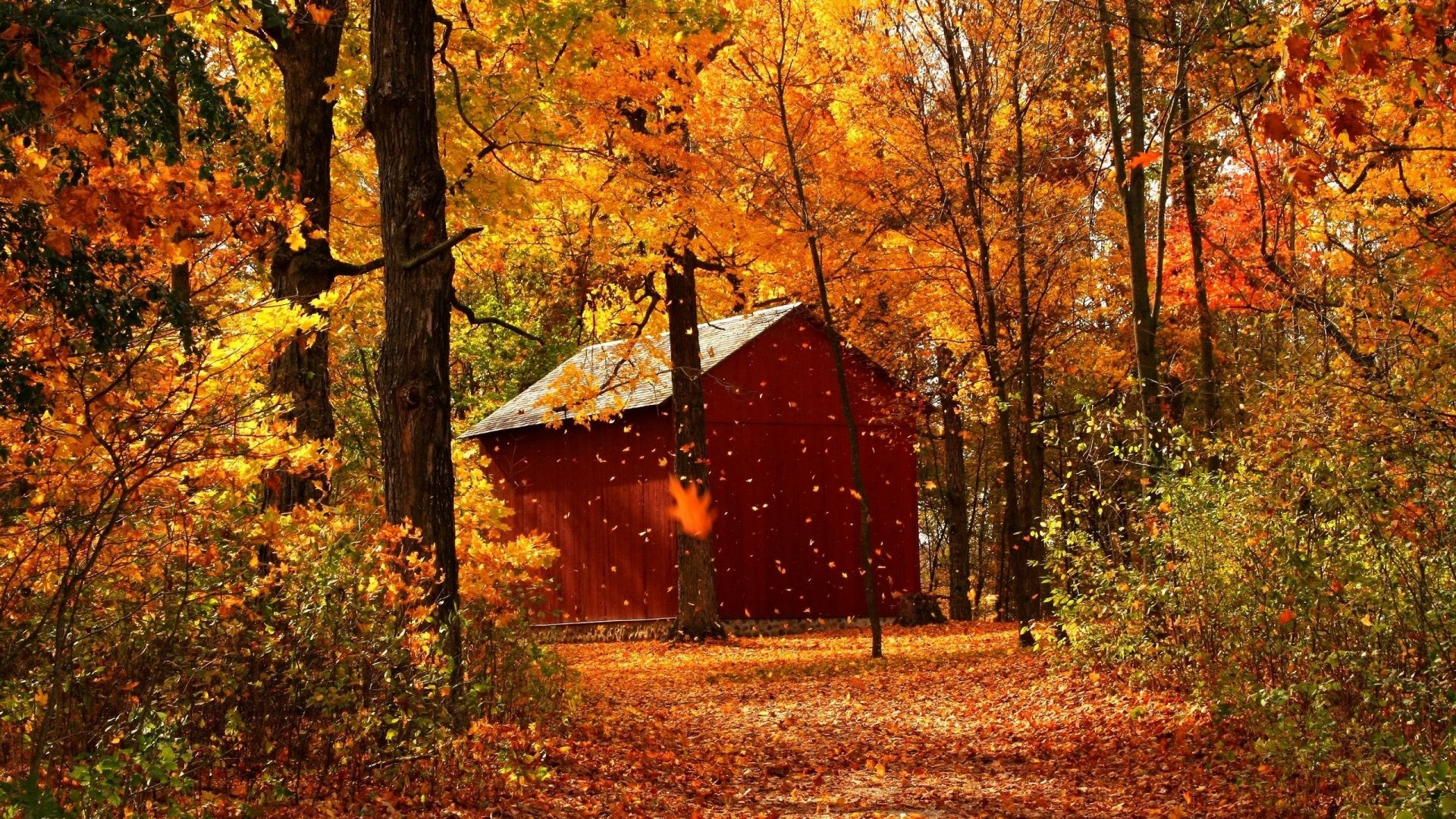 1920x1080 Farm Tag - Beautiful Splendor Nature Beauty Photography Peaceful Landscape  Fall House Forest Leaf Leaves Tree