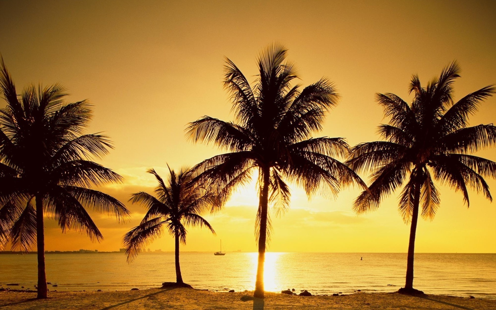 1920x1200 beach, Palm trees, Sunset Wallpaper HD