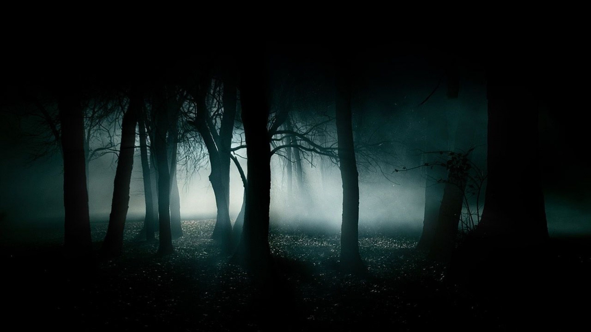 1920x1080 Horror Wood, Halloween, Helloween Horror Night Black Forest