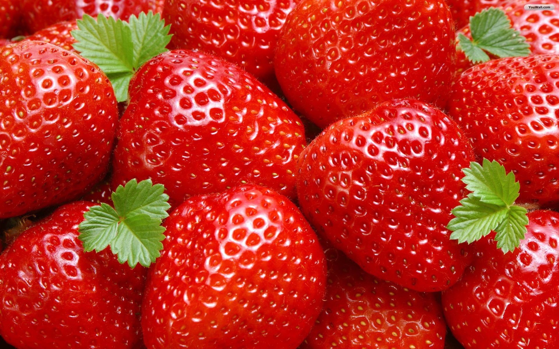 1920x1200 Pretty Strawberries Wallpaper