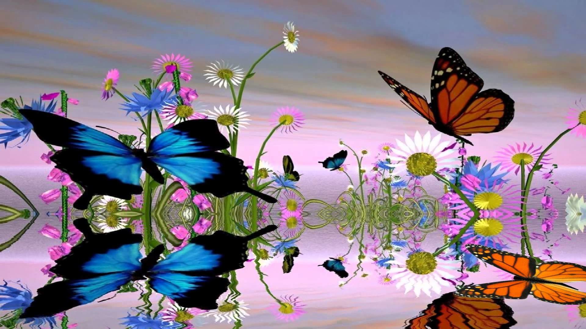 1920x1080 Fantastic Butterfly Animated Wallpaper http://www.desktopanimated.com -  YouTube