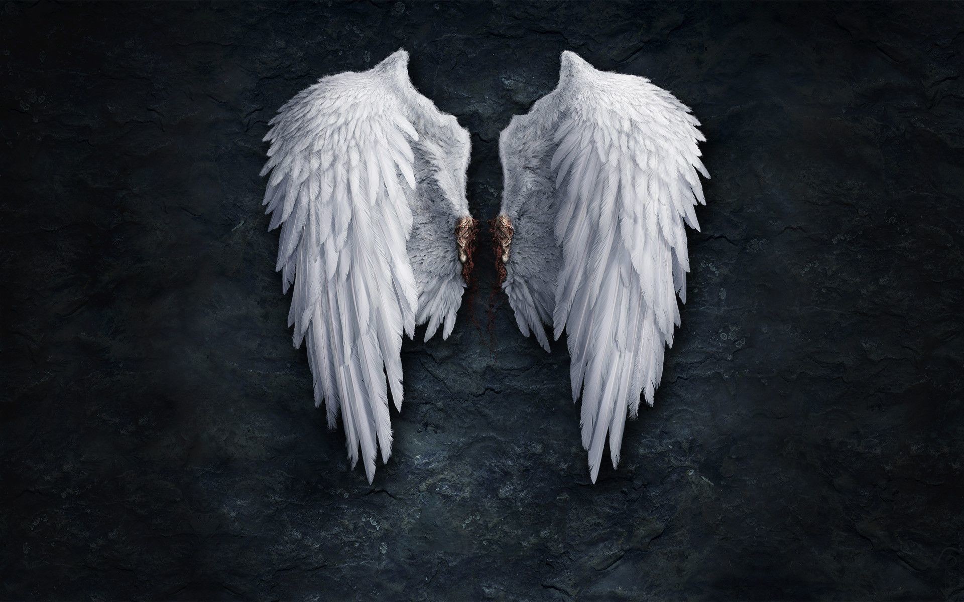 1920x1200 Angel Wings Wallpaper