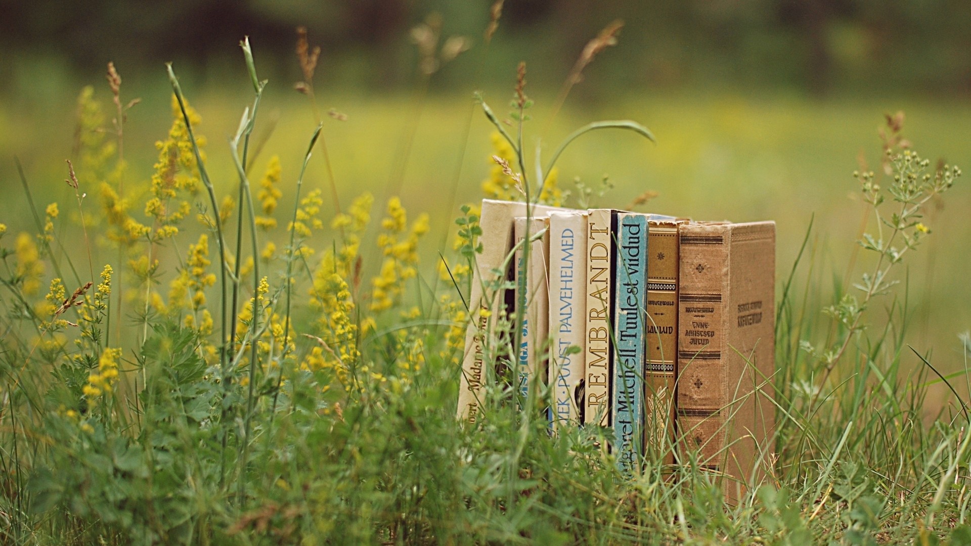 1920x1080 Preview wallpaper books, grass, stack, mood 
