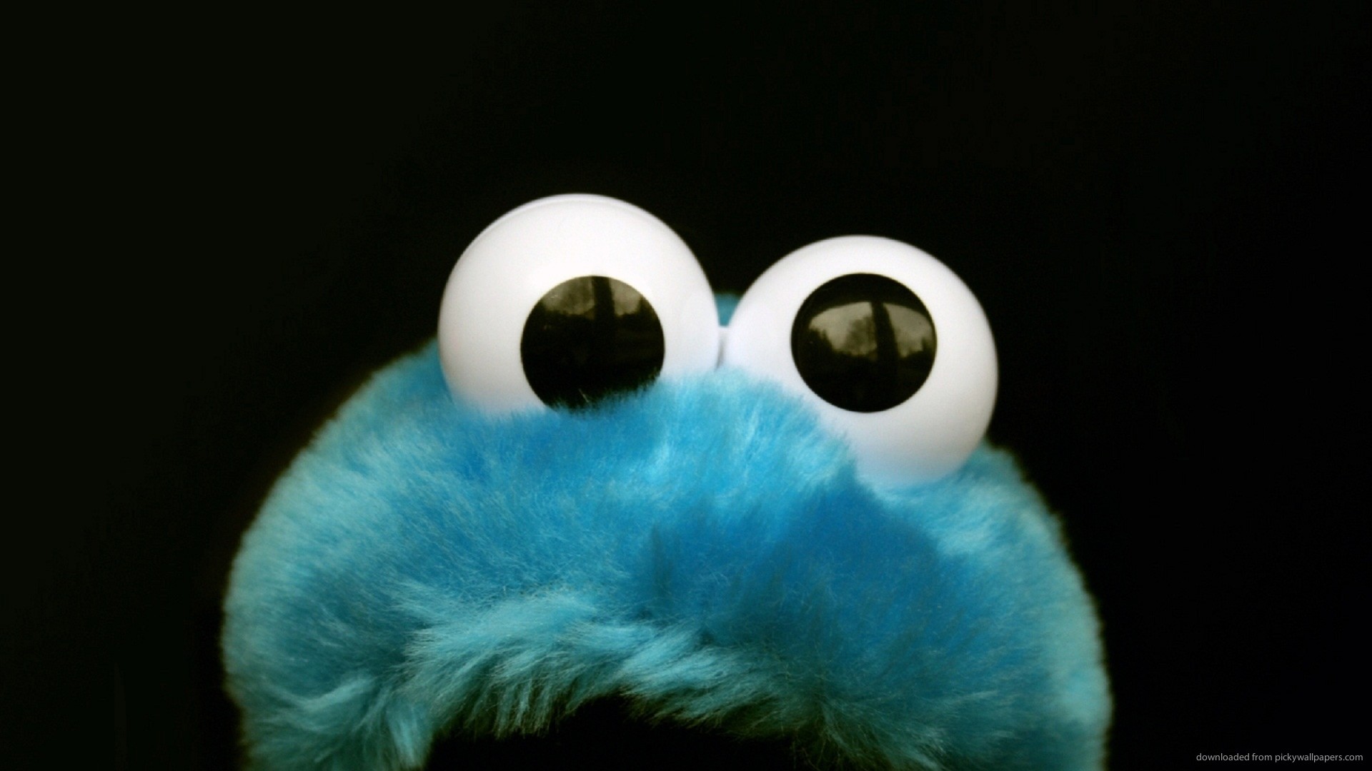 1920x1080 Cookie Monster Fluffy Toy picture