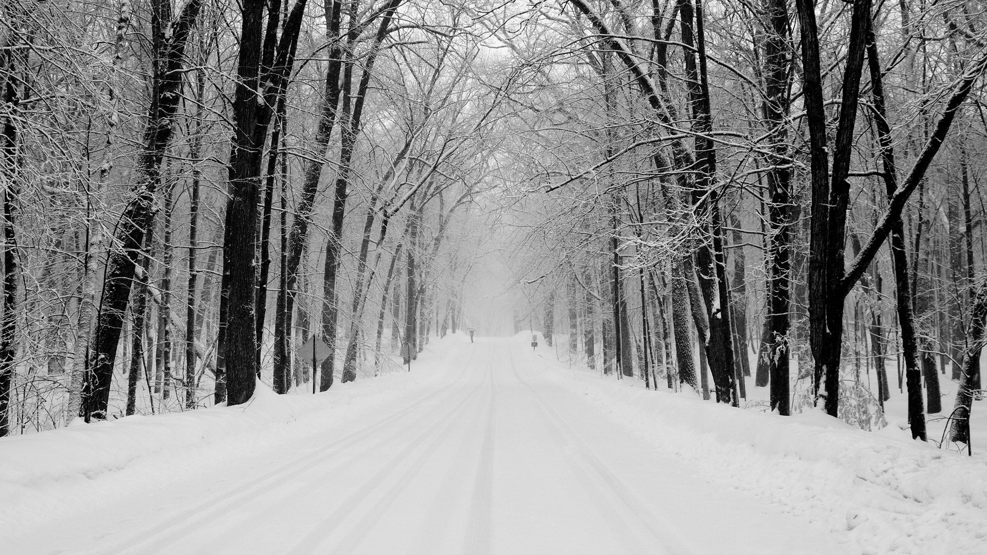 1920x1080 Explore Forest Wallpaper, Nature Wallpaper, and more! Snowy Road