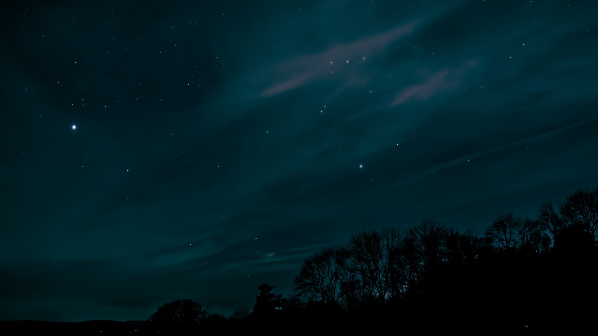 1920x1080 Preview wallpaper night, sky, stars, trees 