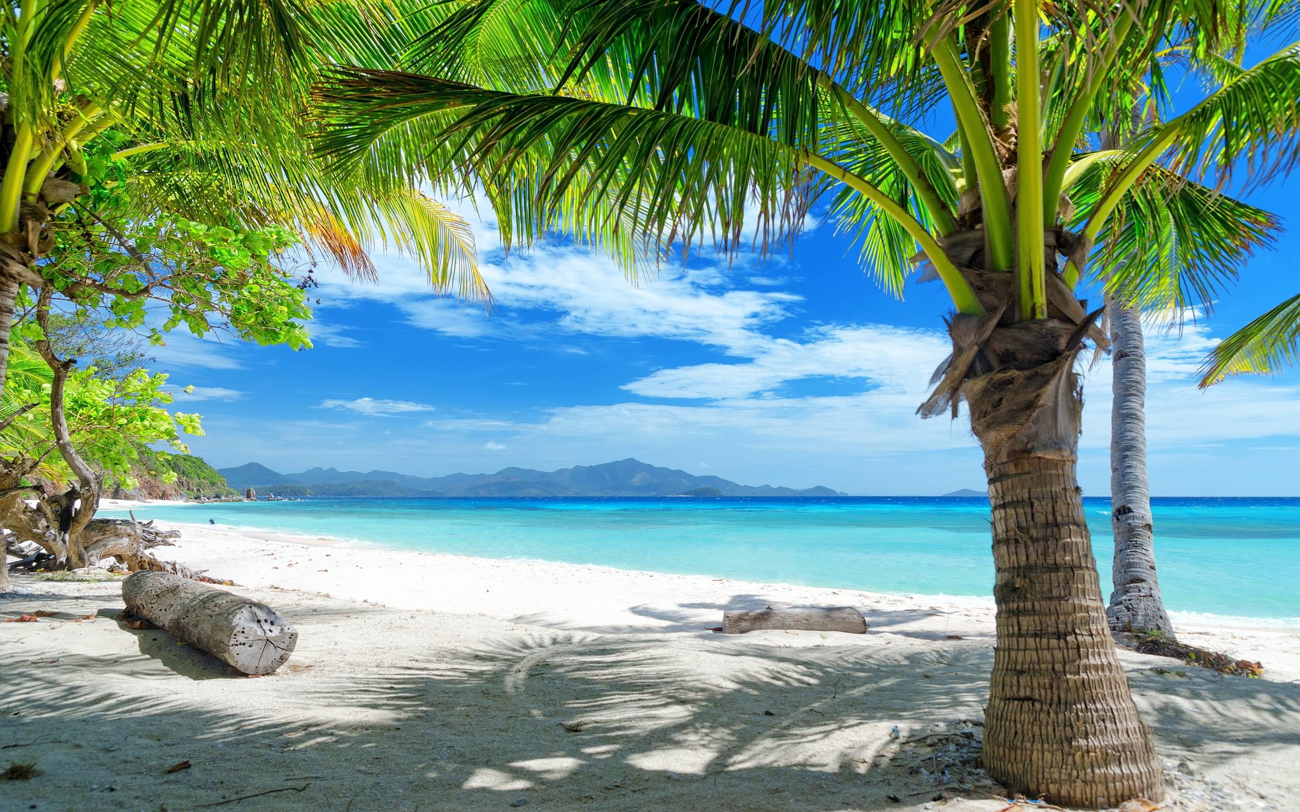 2560x1600 Tropical Beach Desktop Wallpaper #4975 #16471 Wallpaper | SpotIMG