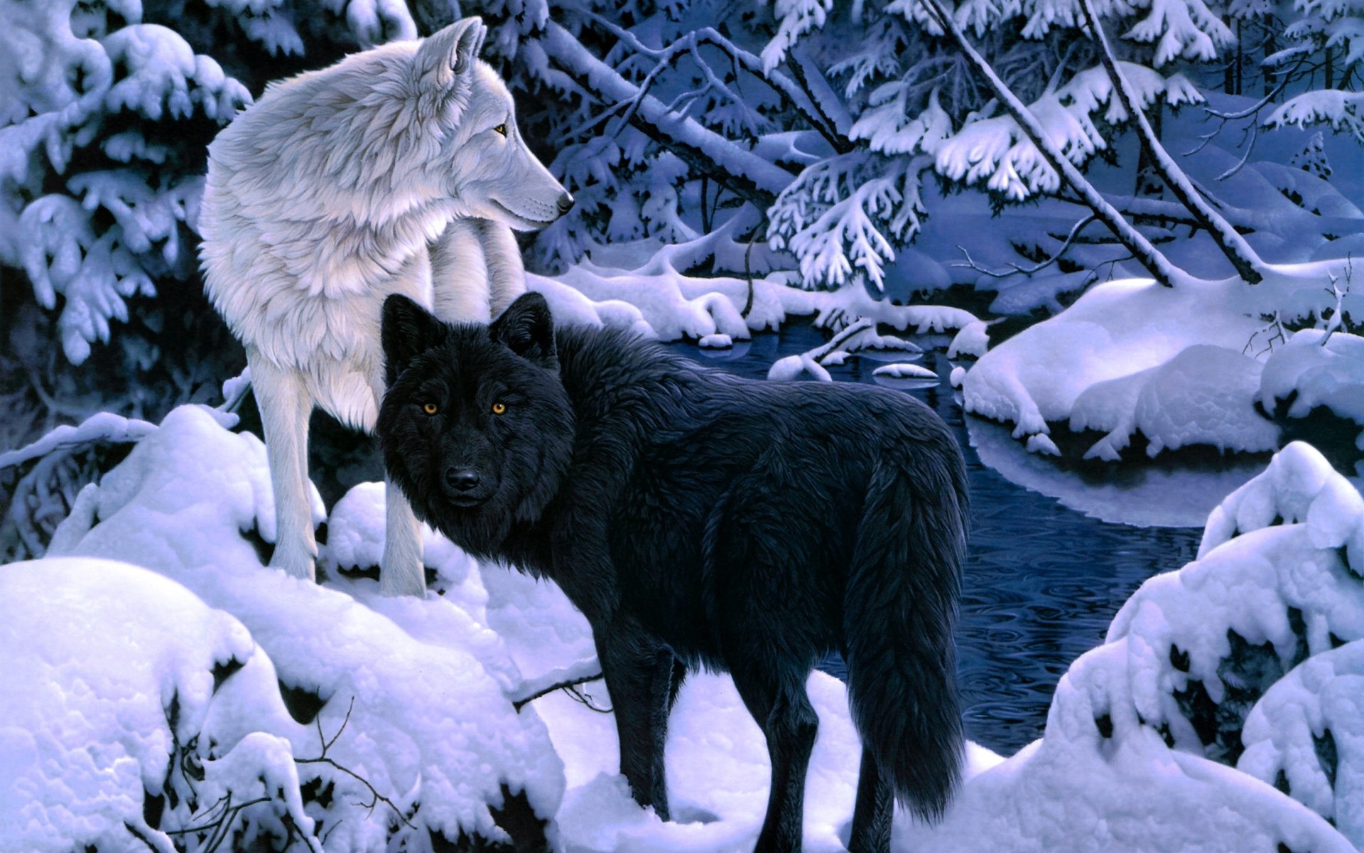 1920x1200 Black White Wolf backgrounds.