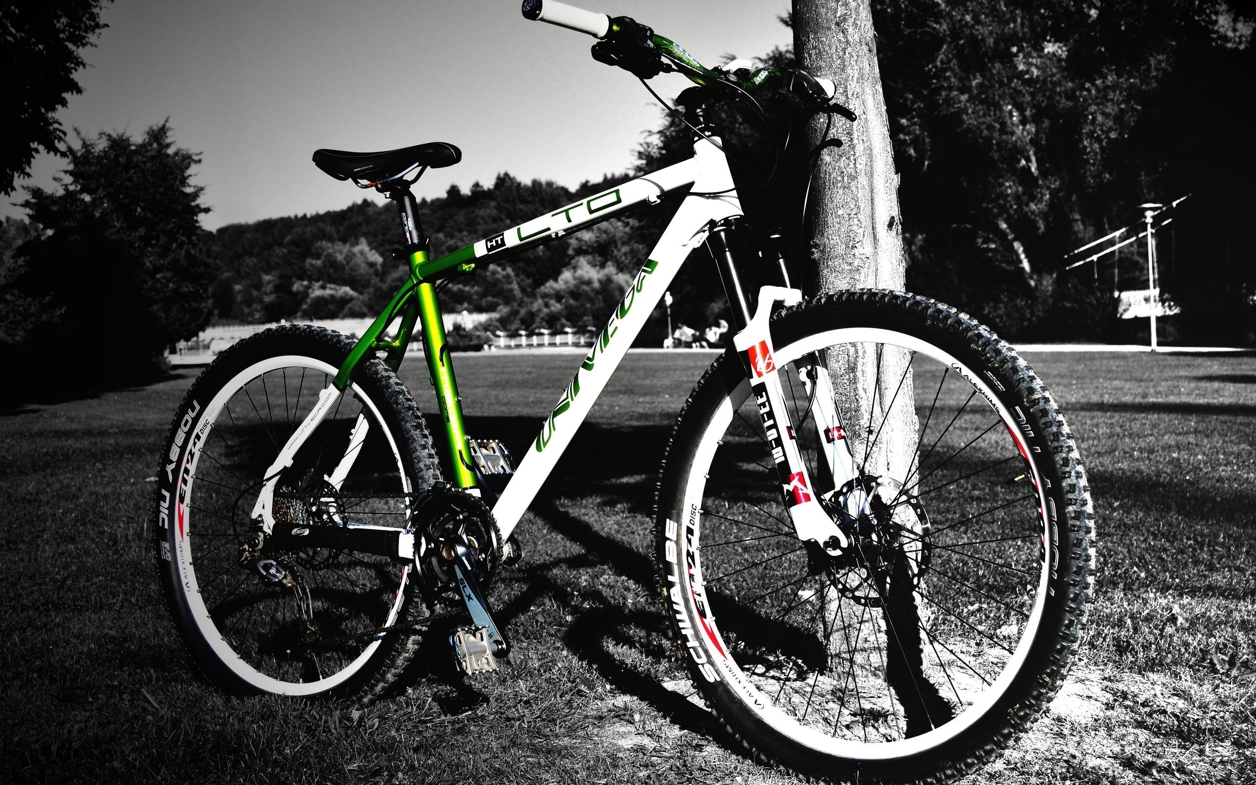 2560x1600 Bicycle HD