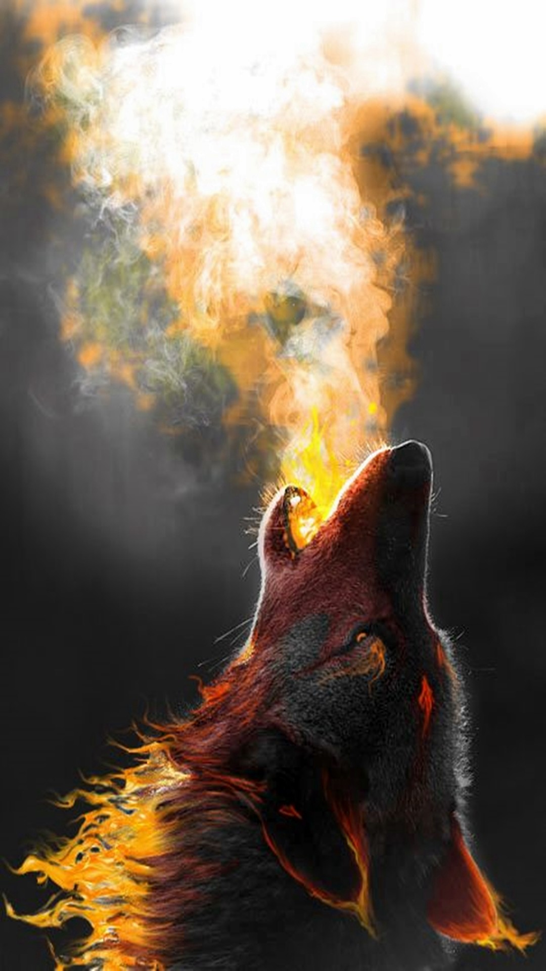 1080x1920 Wolf Howling More
