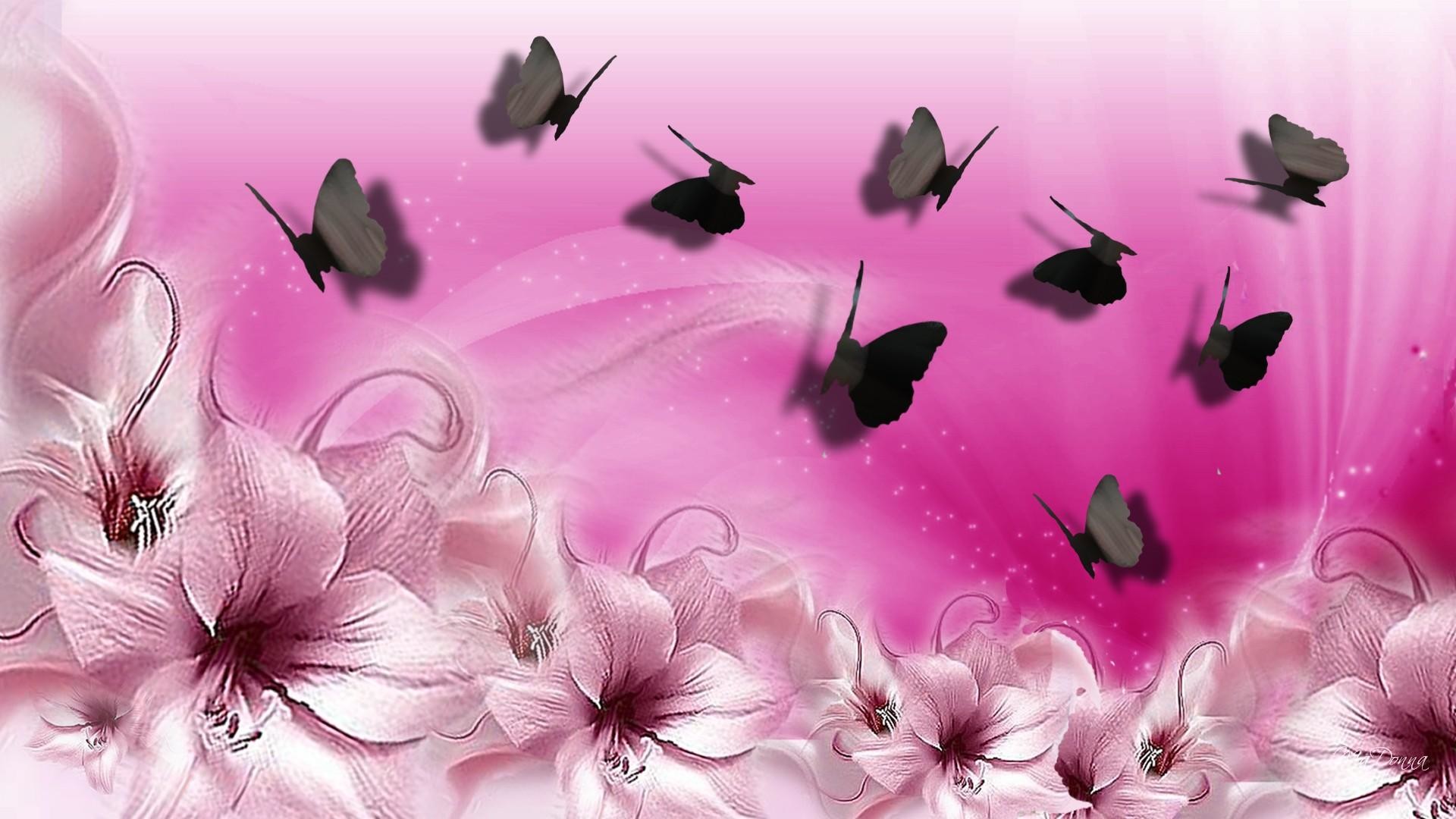 1920x1080 Pink Butterfly Wallpaper Desktop