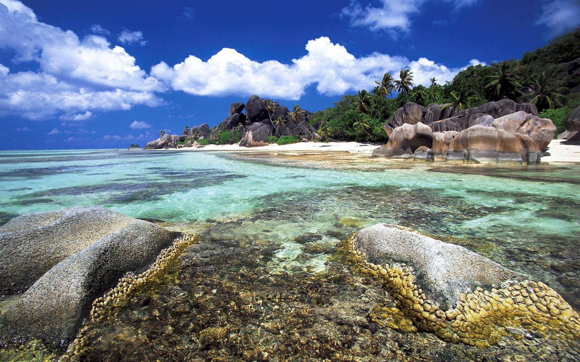 Best Wallpapers In The World 83 Images 