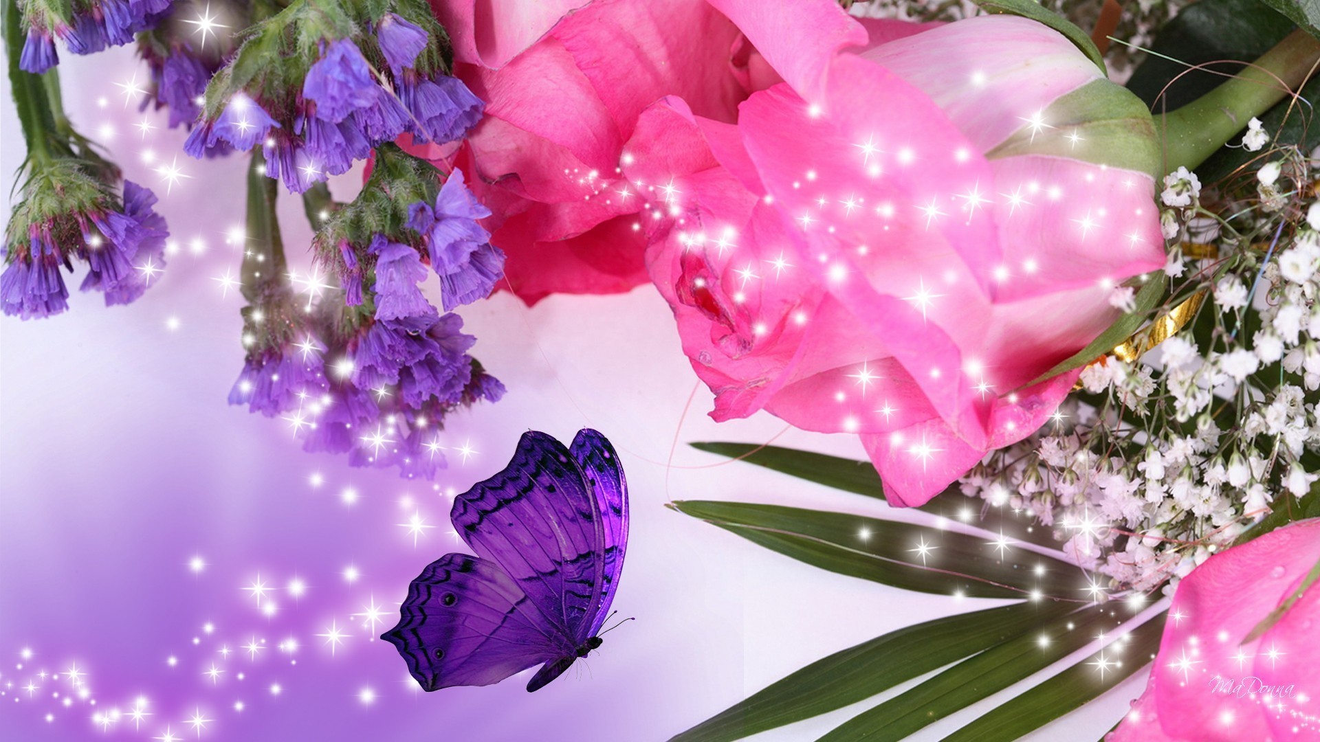 1920x1080 Pink roses and purple flowers wallpaper