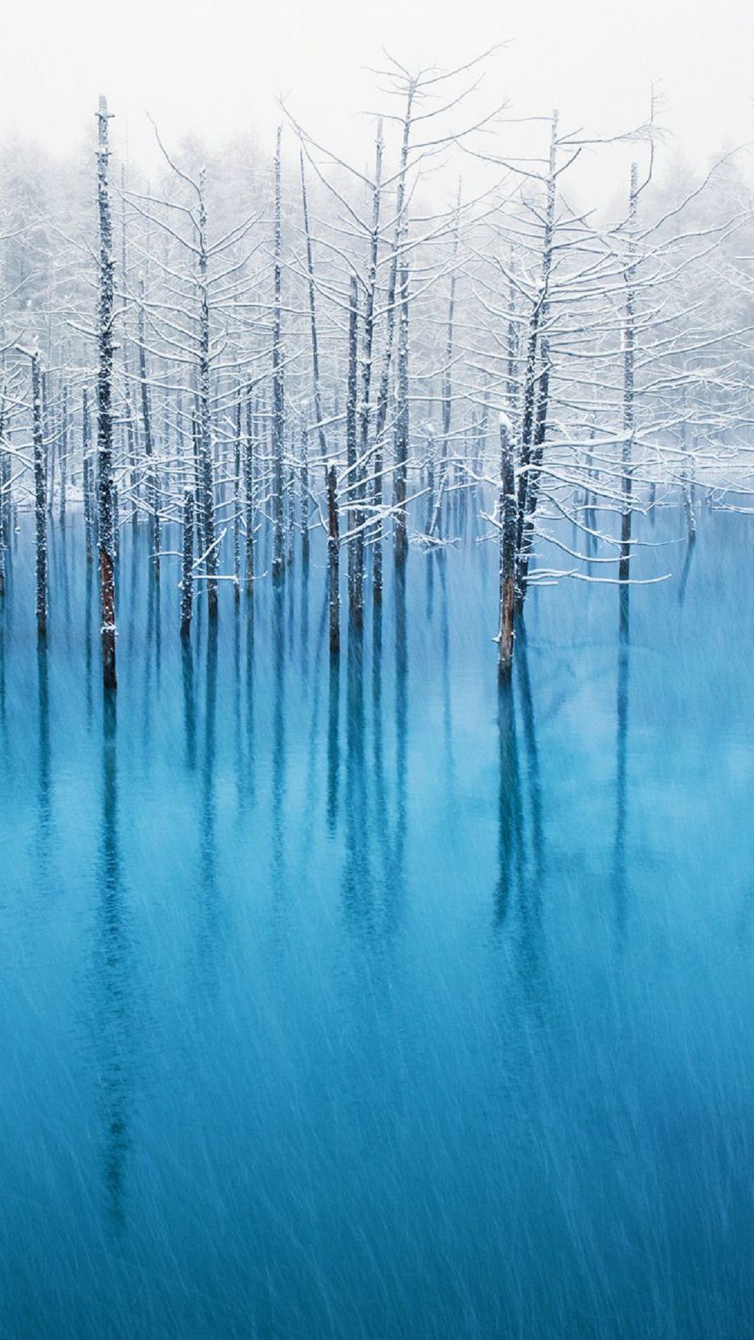 1080x1920 Winter Trees Lake iPhone6s Wallpaper