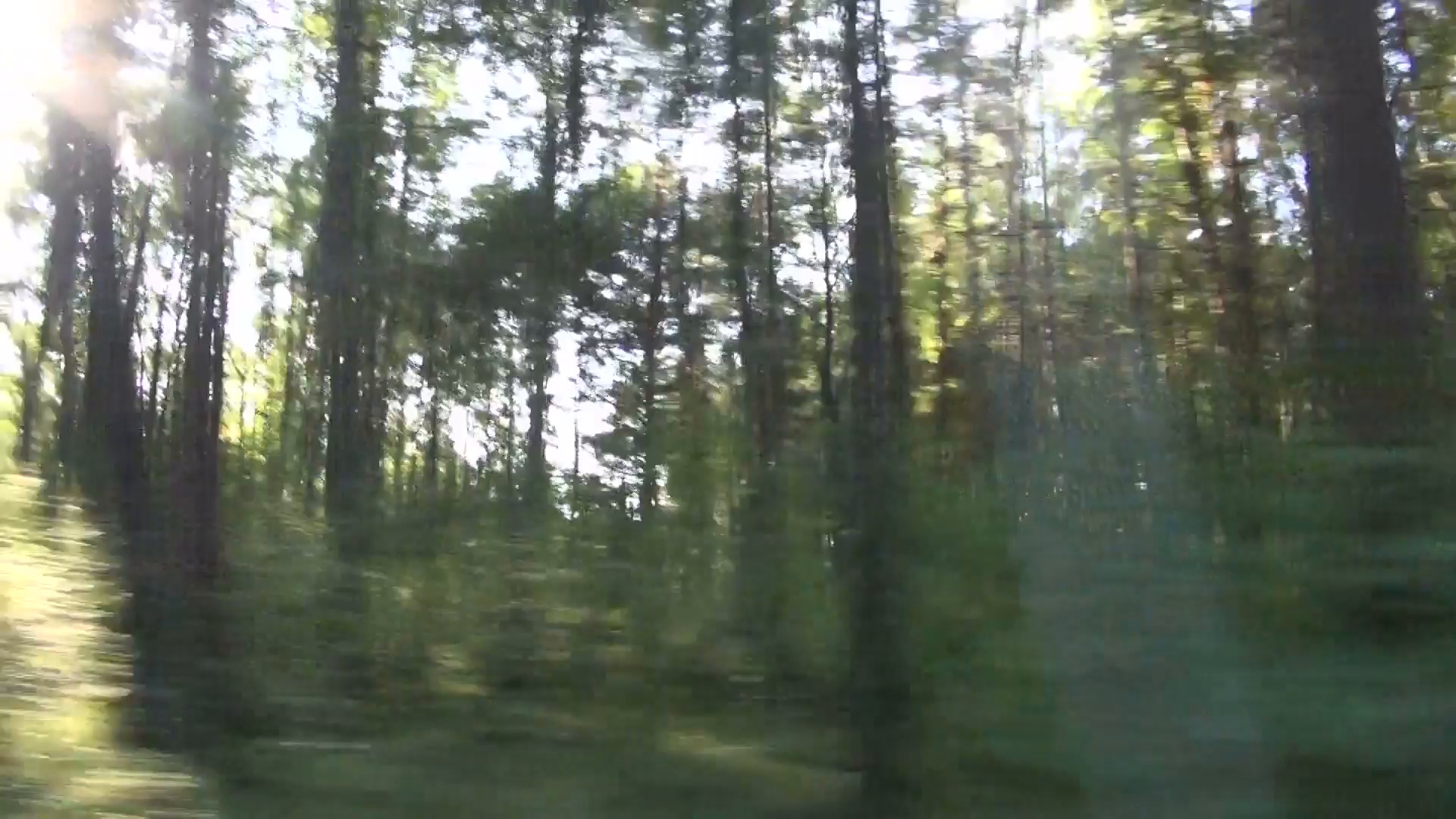 1920x1080 blur speed background. Forest landscape from car window Stock Video Footage  - VideoBlocks