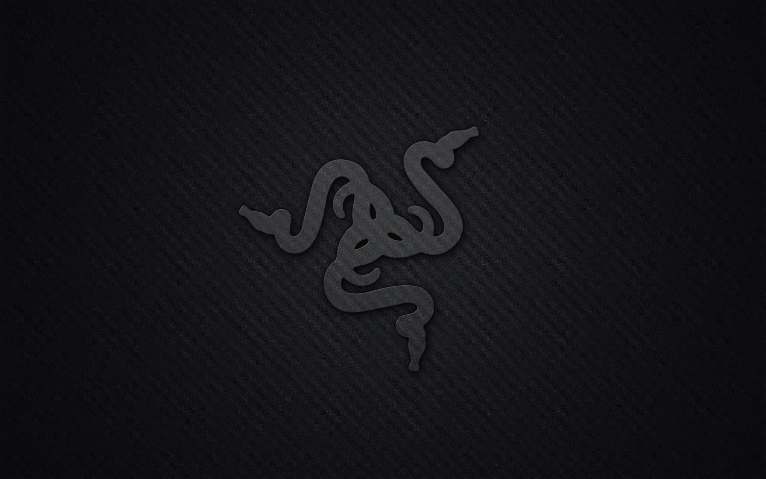 2560x1600 Razer Logo
