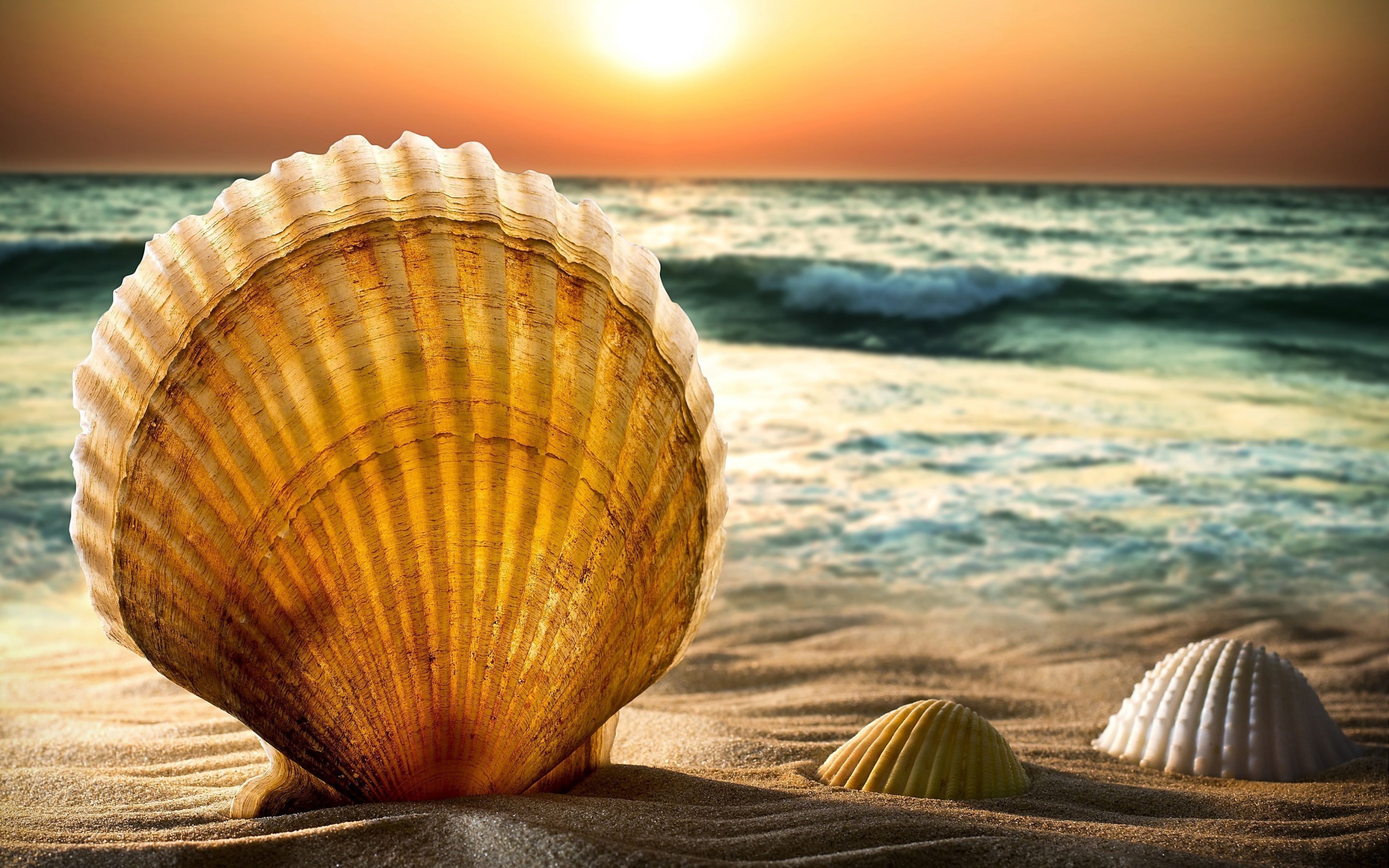 2880x1800 Shells and sand_ beach sea water wave horizon sun sunset sky bokeh wallpaper  |  | 167035 | WallpaperUP