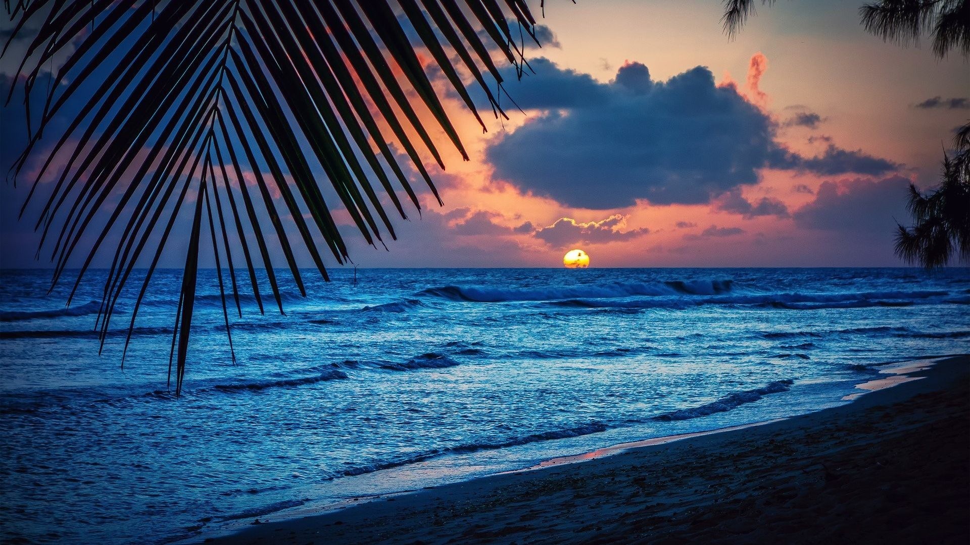 1920x1080 Caribbean Tag - Sun Leaves Palm Sea Barbados Silhouette Nature Landscape  Beach Sunset Evening Trees Caribbean