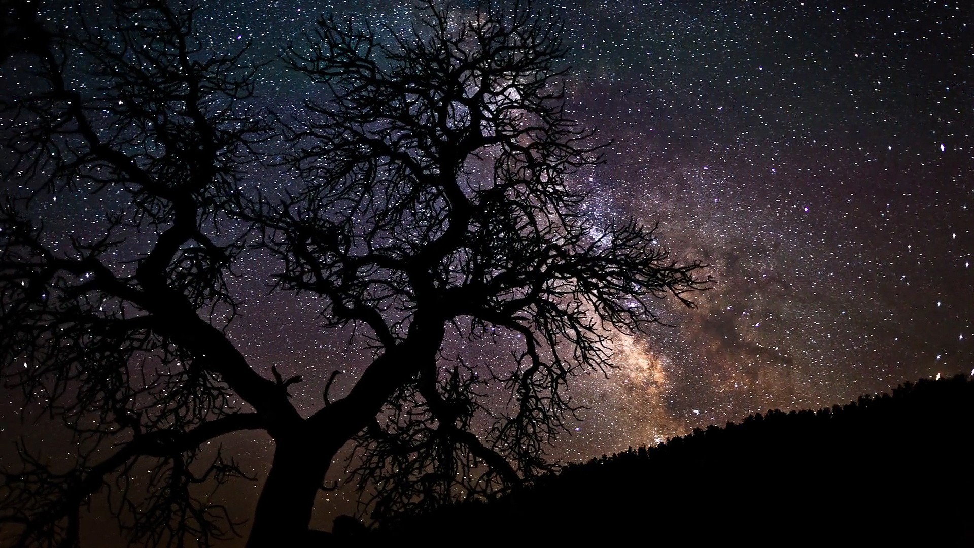 1920x1080 Sky-starry-night-sky-stars-nature-trees-wallpaper-