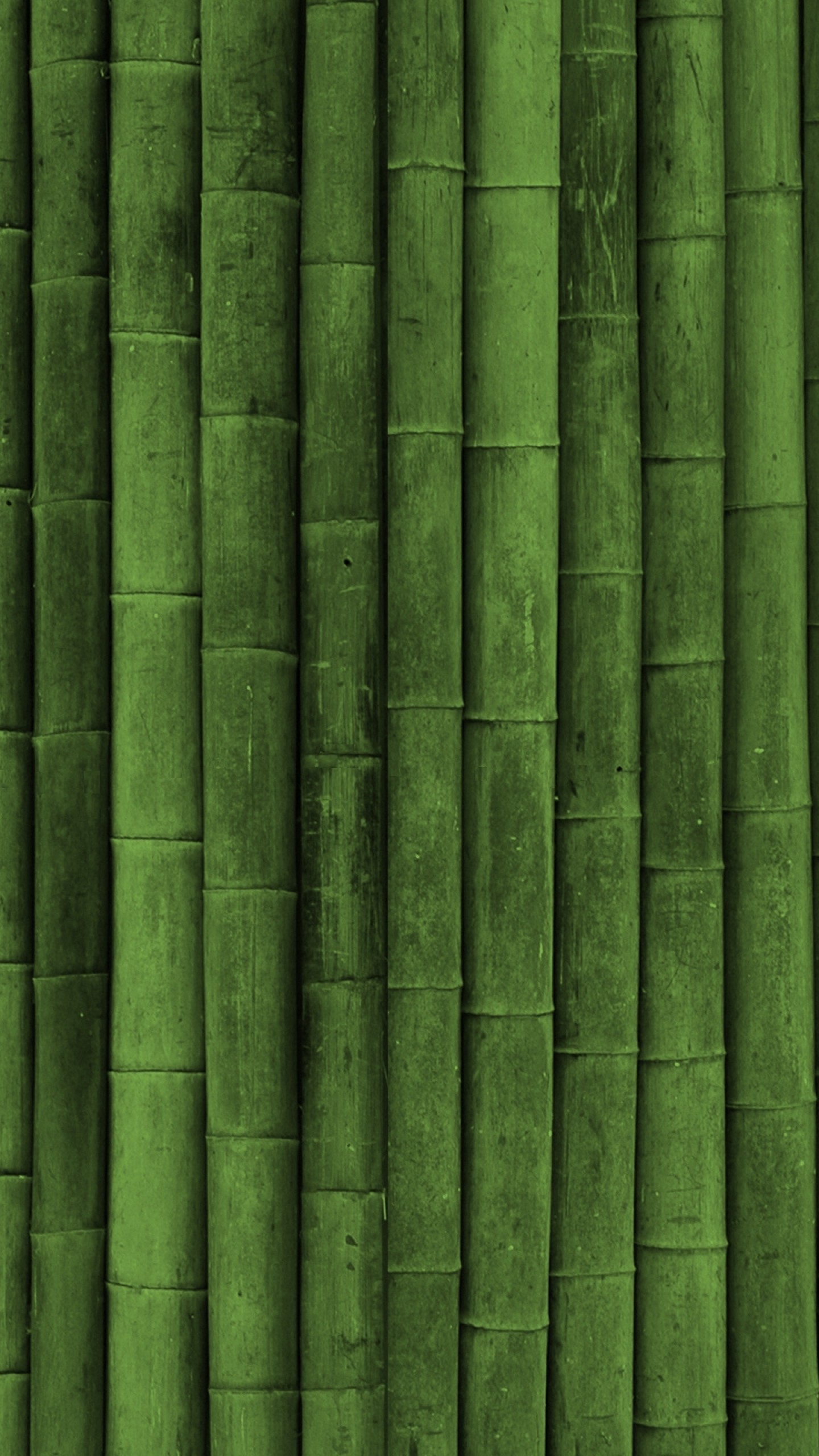1440x2560 Preview wallpaper bamboo, stick, green, vertical 