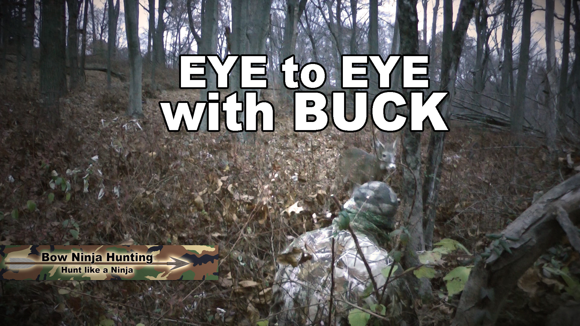 1920x1080 Eye to Eye with Buck … Deer hunting from the ground Bow Ninja video