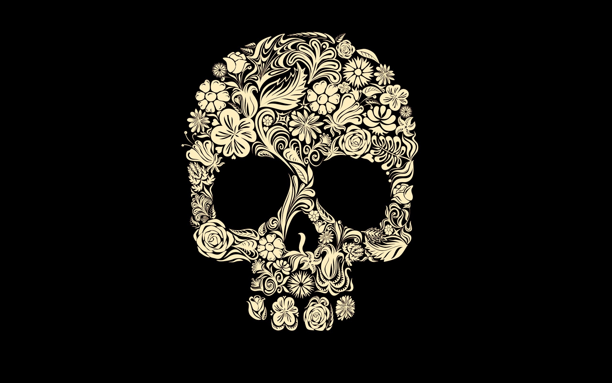 2560x1600 Dark Skull Wallpaper  Dark, Skull