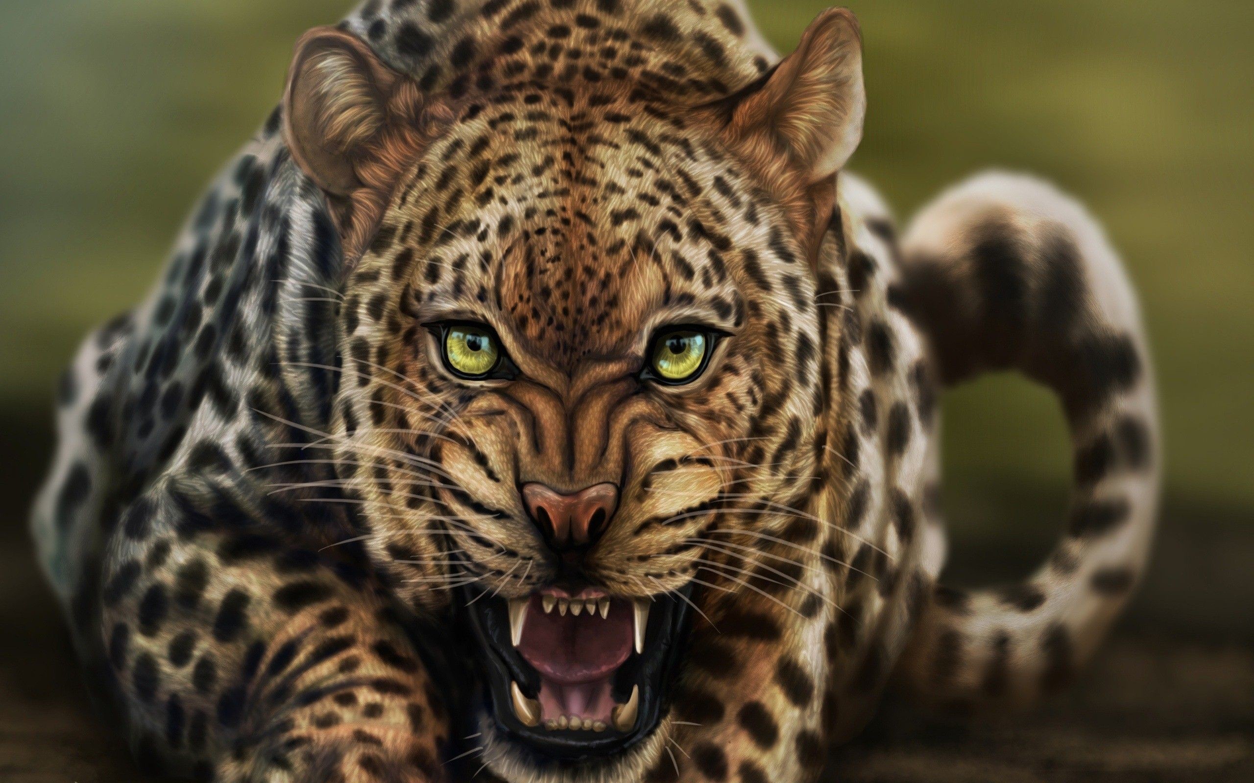 2560x1600 Angry Wild Leopard Animal HD Desktop Wallpaper Background