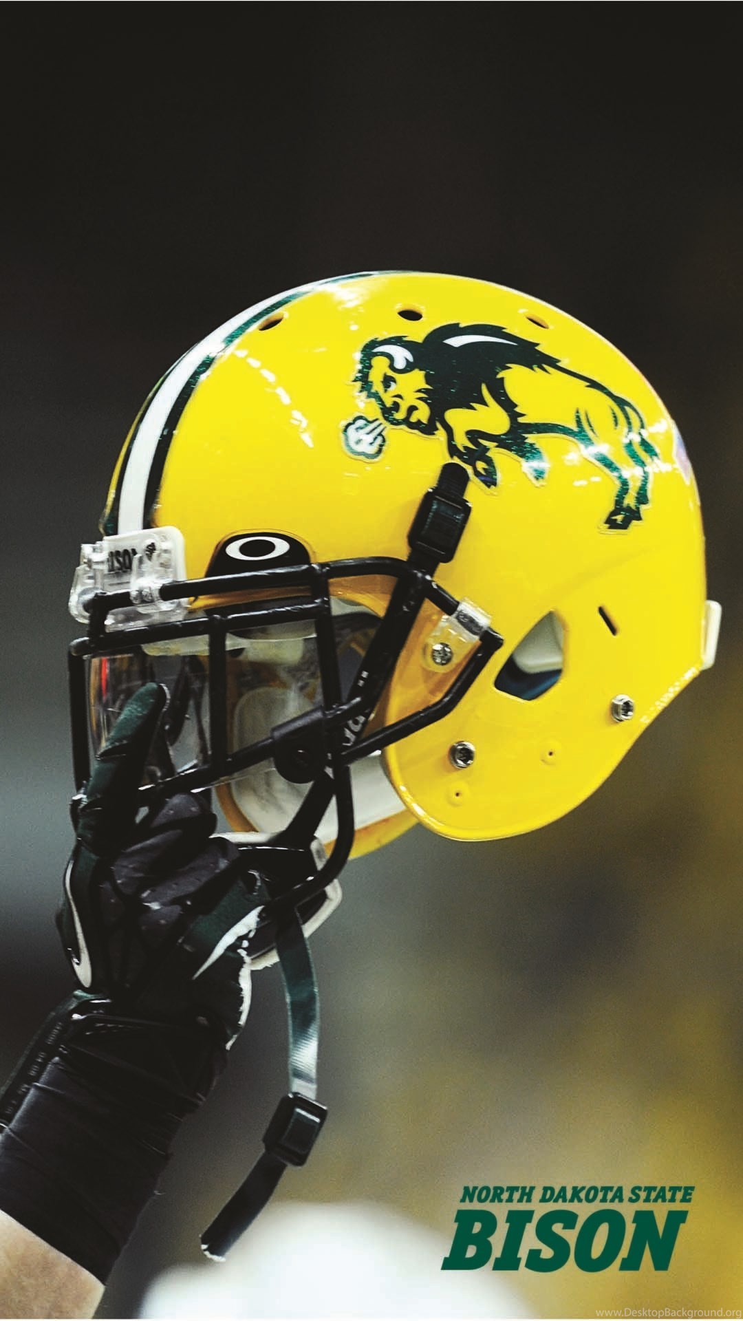 1080x1920 Ndsu bison wallpaper images reverse search