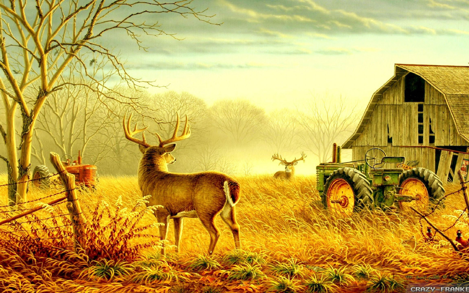 1920x1200 Barn, Field, Grass Family, Wildlife, Grass Wallpaper in  Resolution