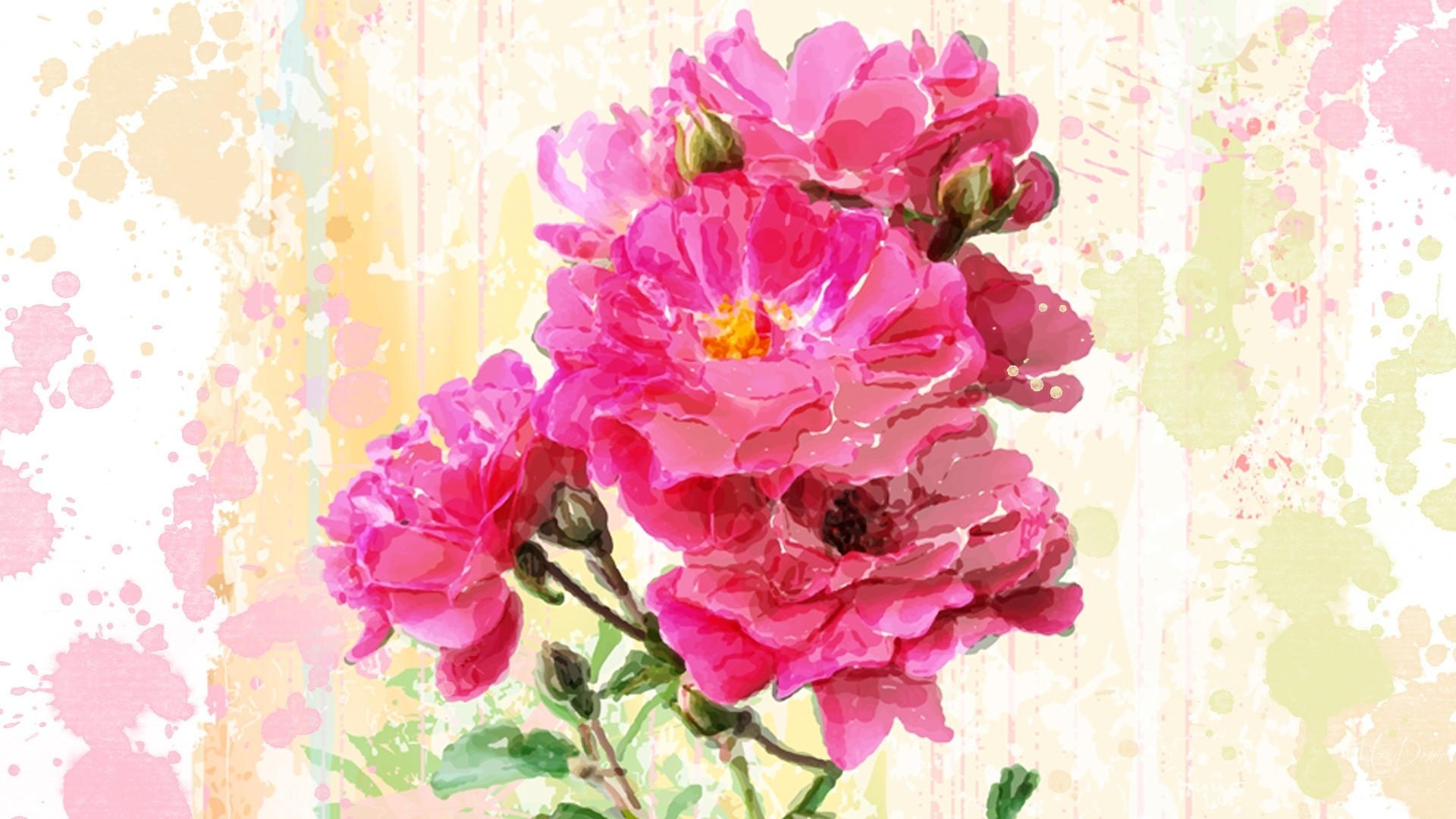 1920x1080 Theme Tag - Flowers Summer Theme Rose Watercolor Bright Wild Splash Persona  Pink Paint Splatter Flower