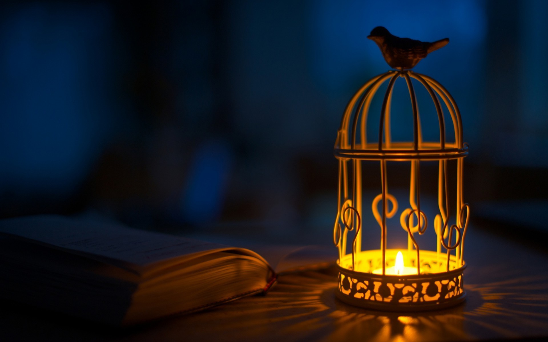 1920x1200 birds animals candles cages books Wallpapers HD / Desktop and Mobile  Backgrounds